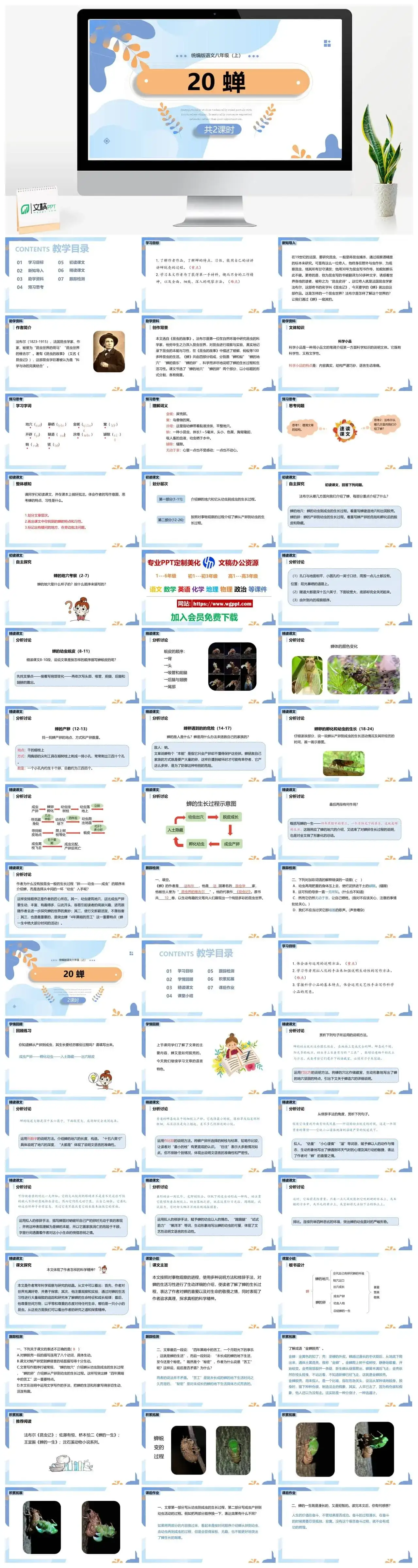 统编版八年级语文上册PPT课件蝉