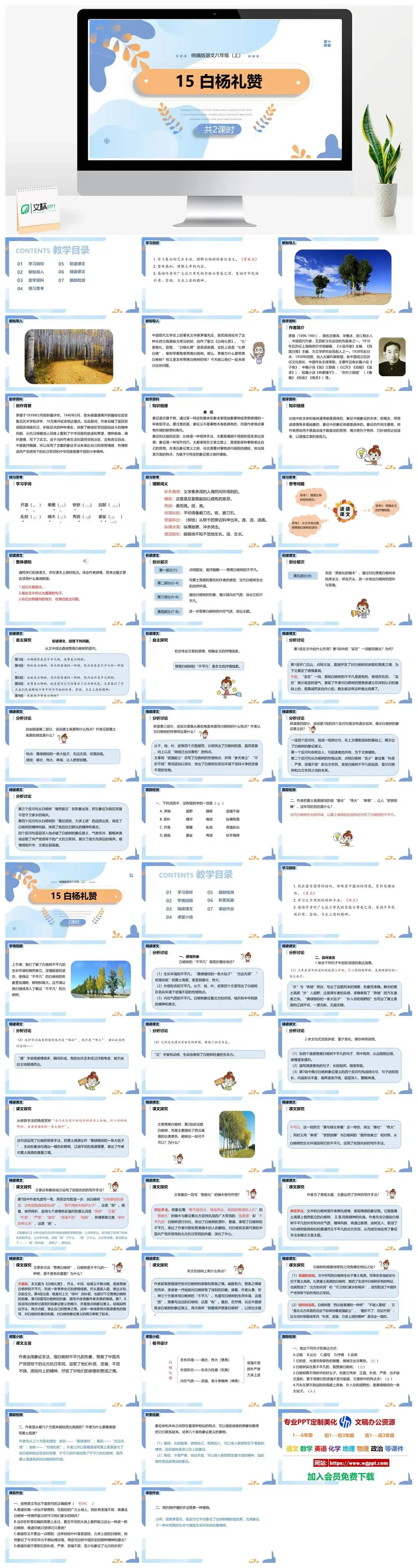 统编版八年级语文上册PPT课件白杨礼赞
