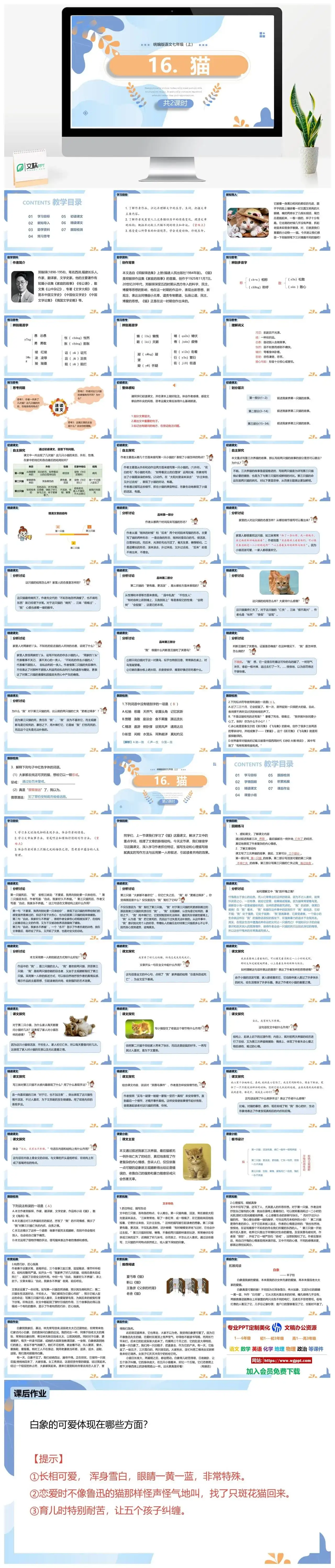 统编版七年级语文上册PPT课件猫