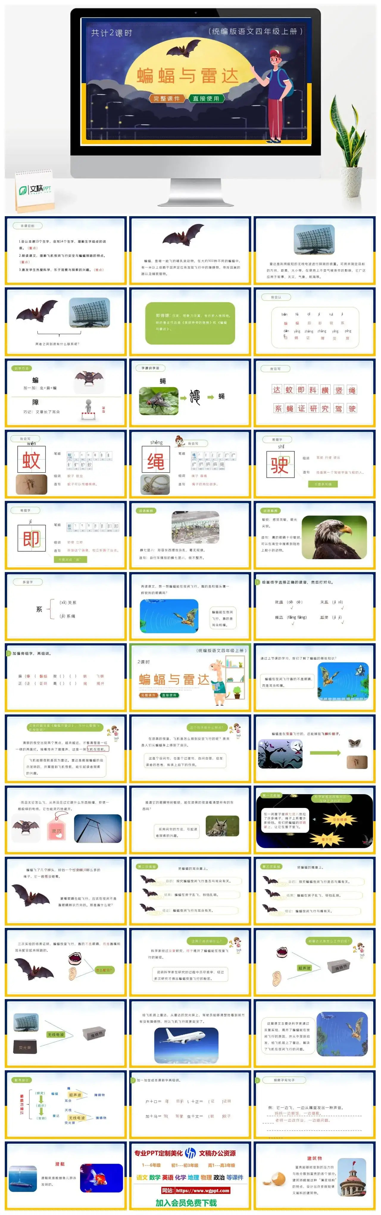 人教统编版语文四年级上册PPT课件蝙蝠与雷达