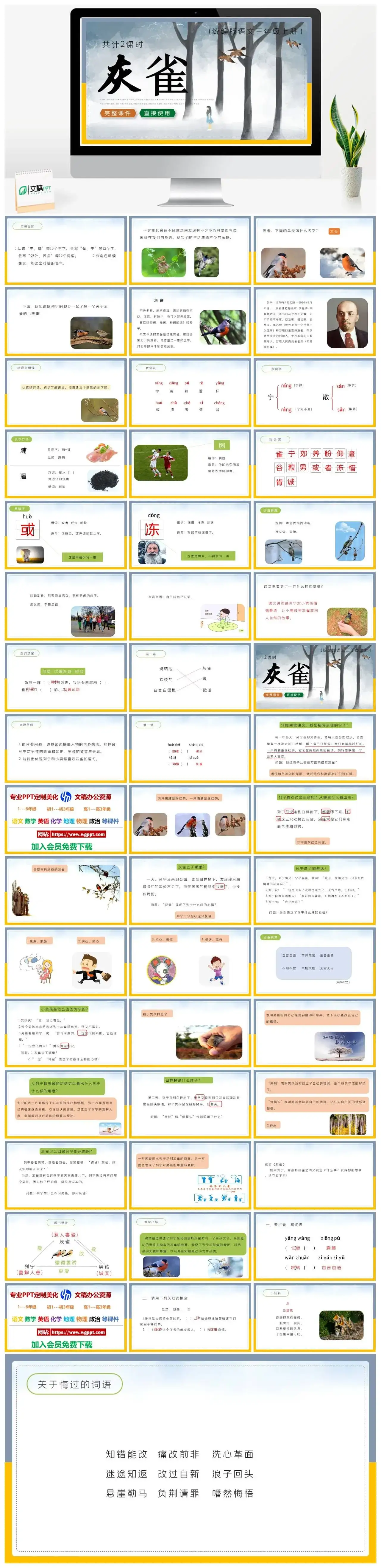 人教统编版语文三年级上册PPT课件灰雀