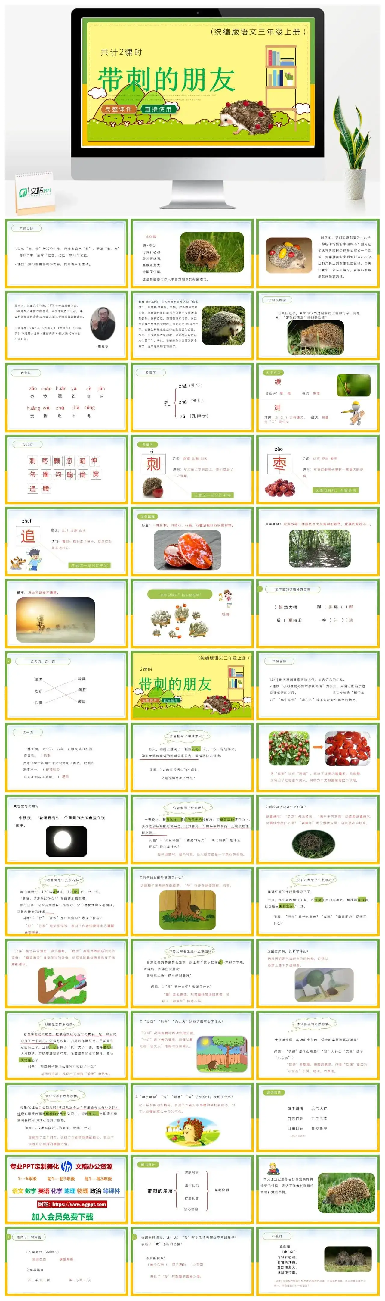 人教统编版语文三年级上册PPT课件带刺的朋友