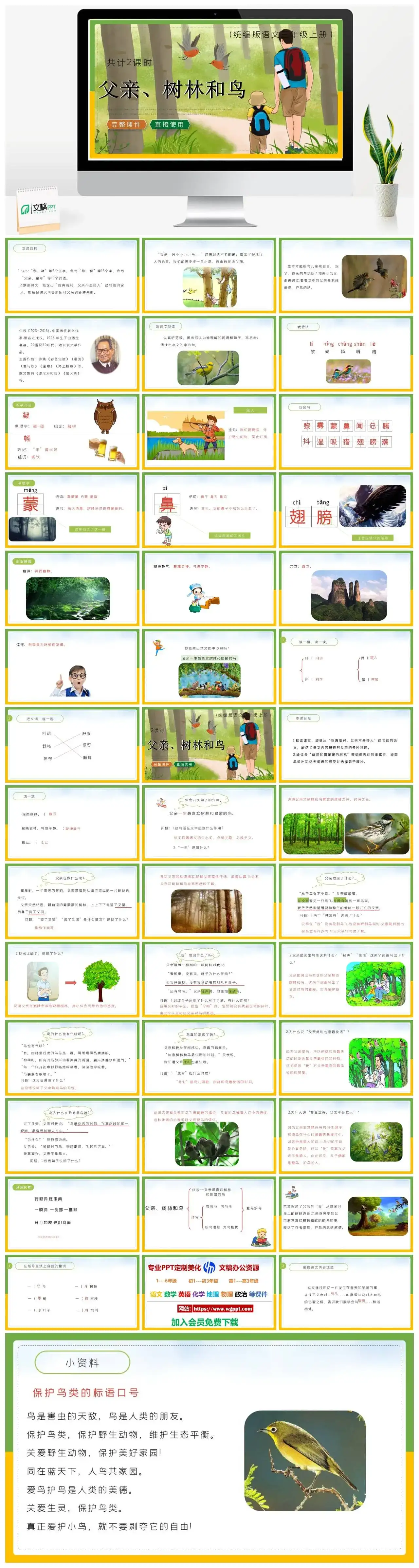 人教统编版语文三年级上册PPT课件父亲树林和鸟