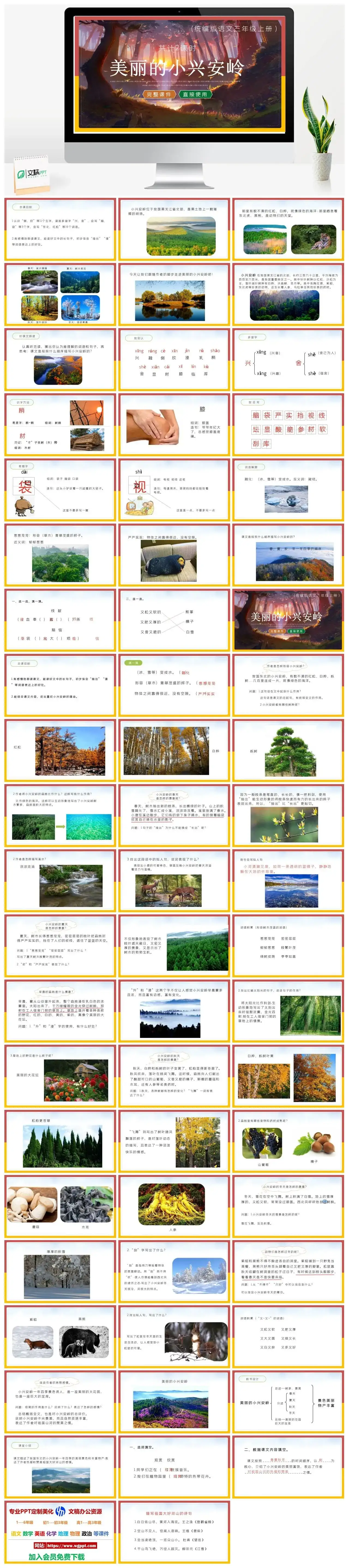 人教统编版语文三年级上册PPT课件美丽的小兴安岭