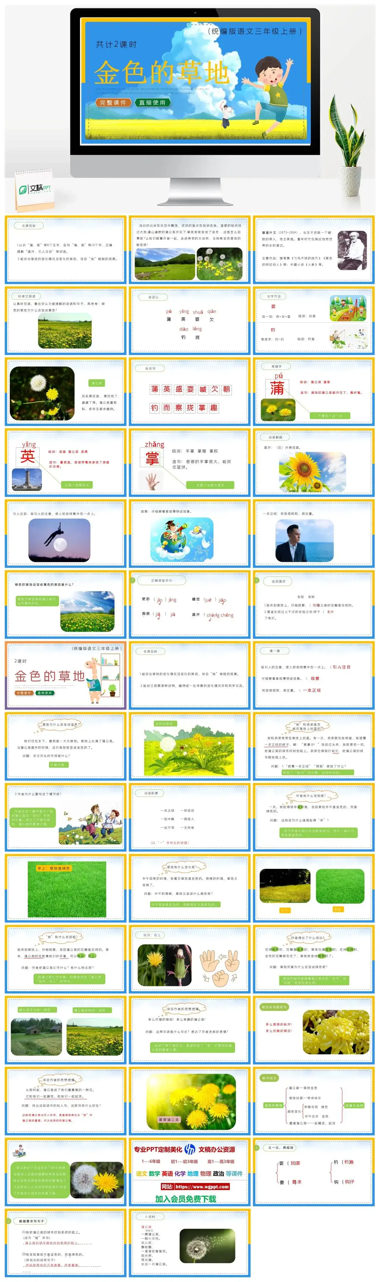人教统编版语文三年级上册PPT课件金色的草地