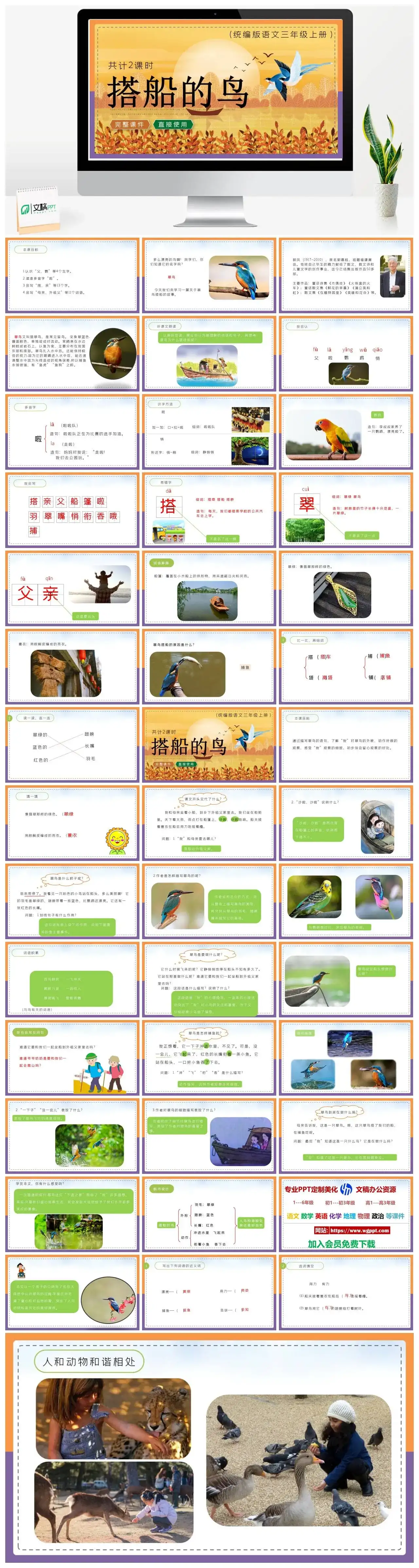 人教统编版语文三年级上册PPT课件搭船的鸟
