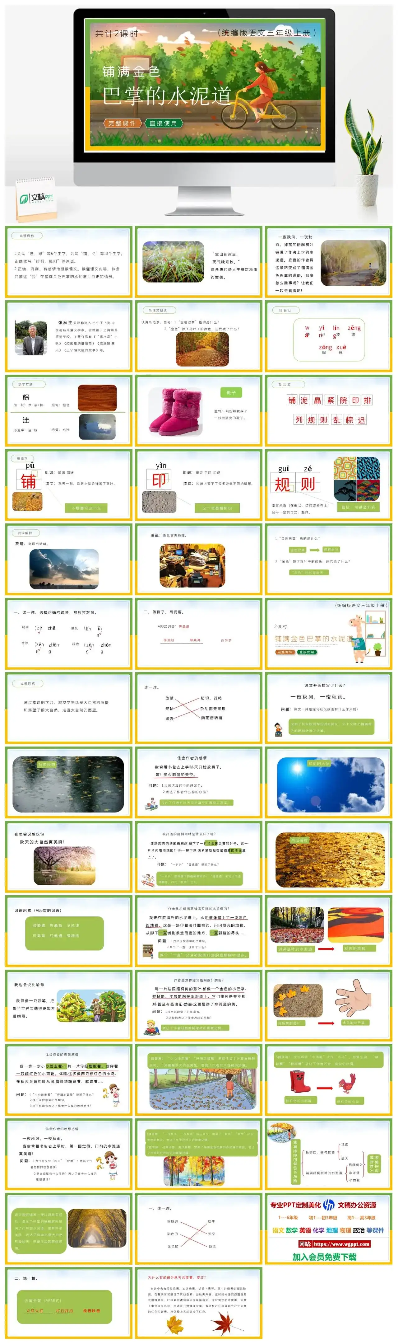 人教统编版语文三年级上册PPT课件铺满金色巴掌的水泥道