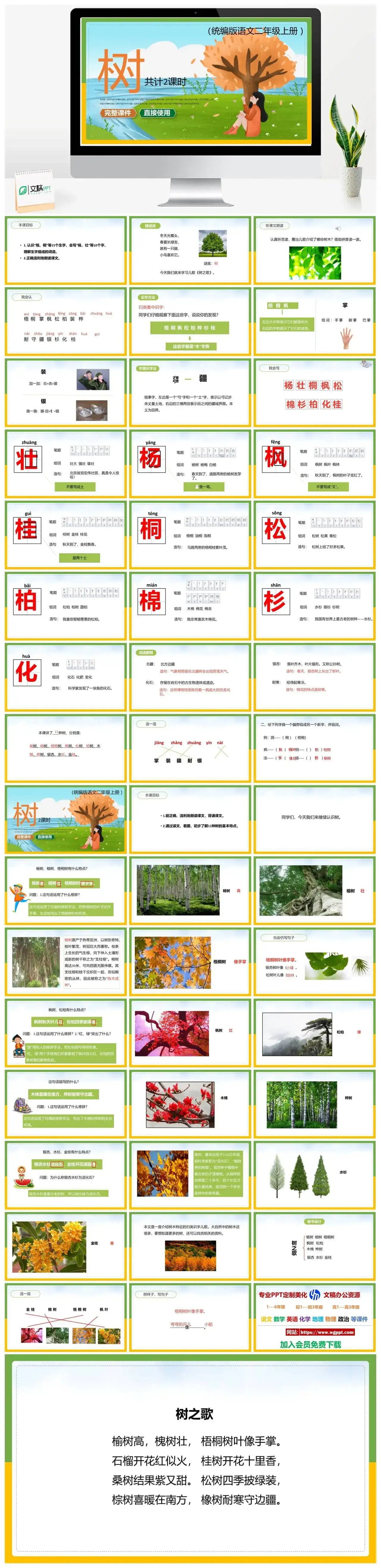 人教统编版语文二年级上册PPT课件树