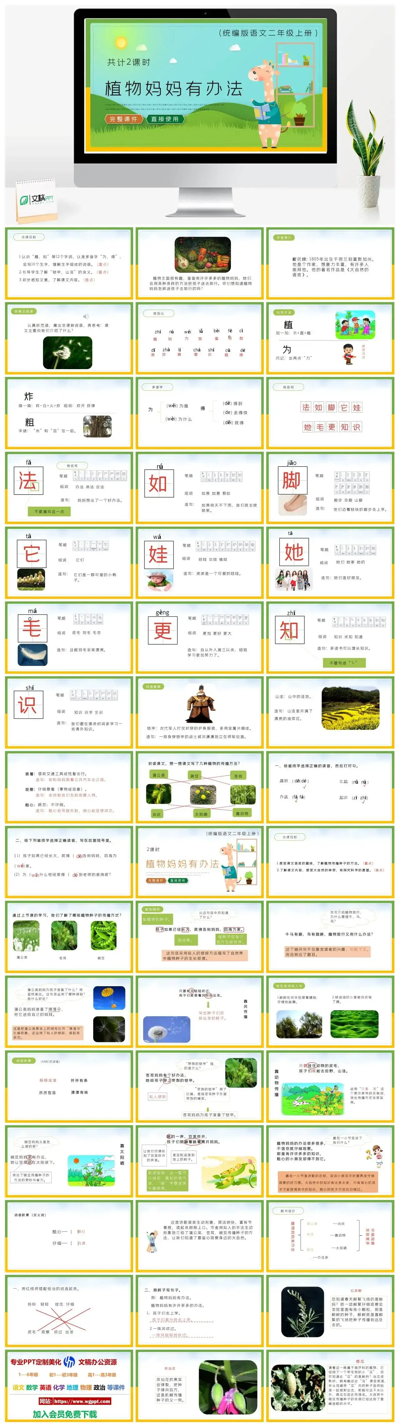人教统编版语文二年级上册PPT课件植物妈妈有办法