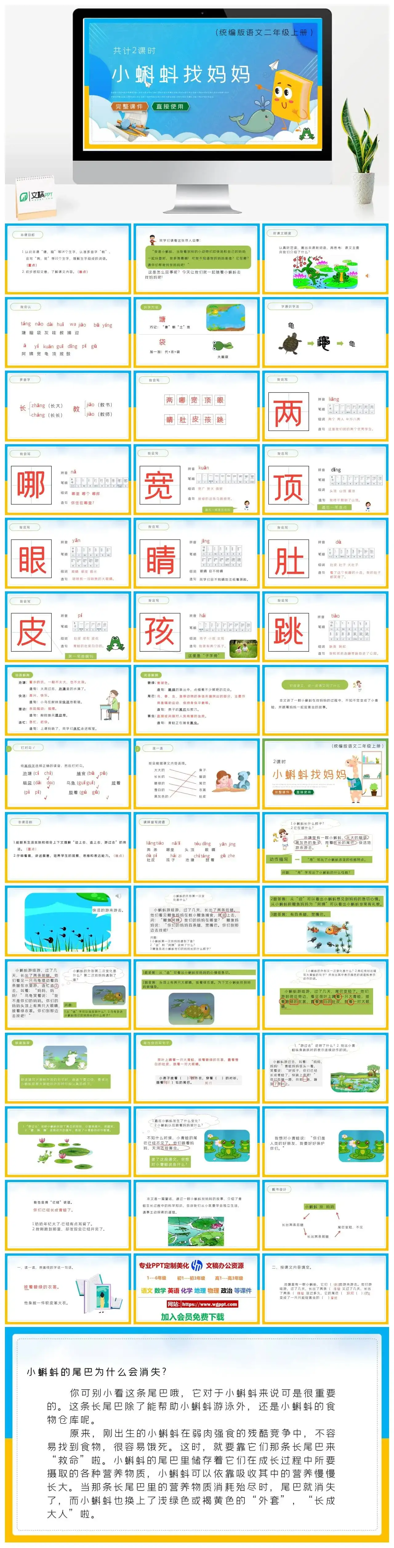 人教统编版语文二年级上册PPT课件小蝌蚪找妈妈