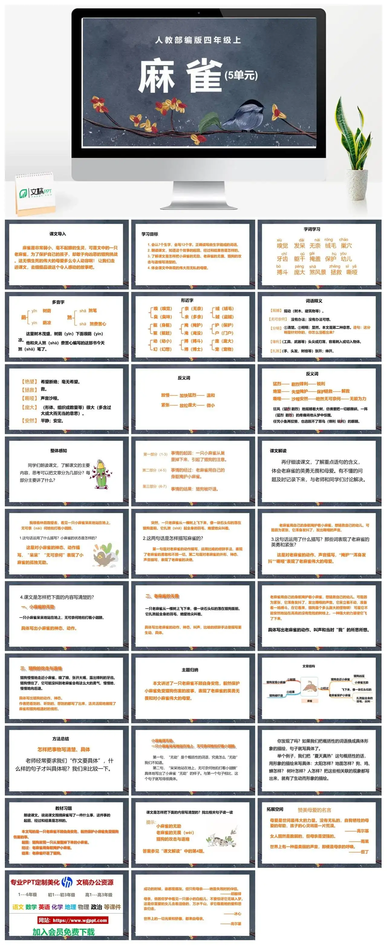 人教部编版语文四年级上册PPT课件麻雀