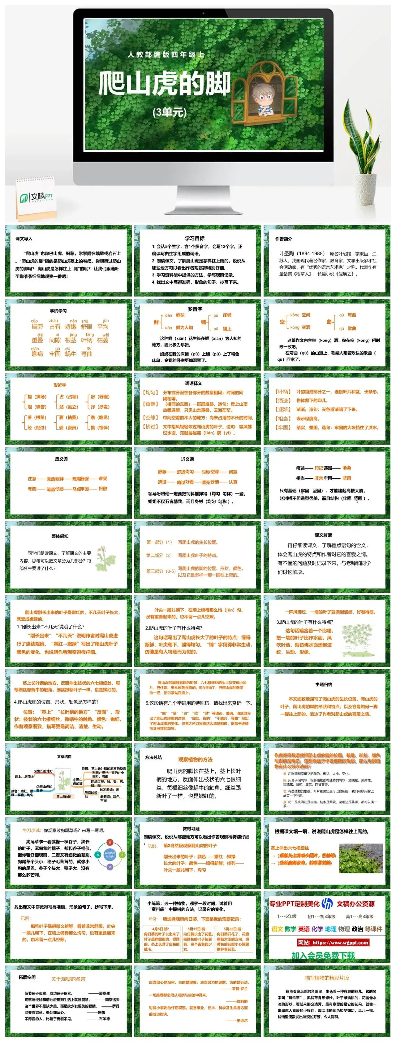 人教部编版语文四年级上册PPT课件爬山虎的脚