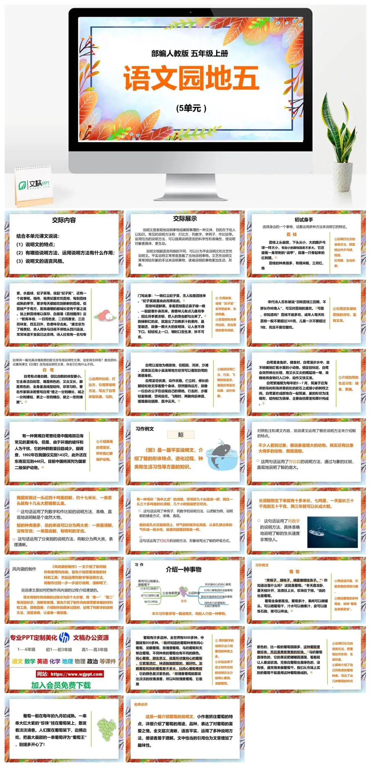 人教部编版语文五年级上册PPT课件语文园地五