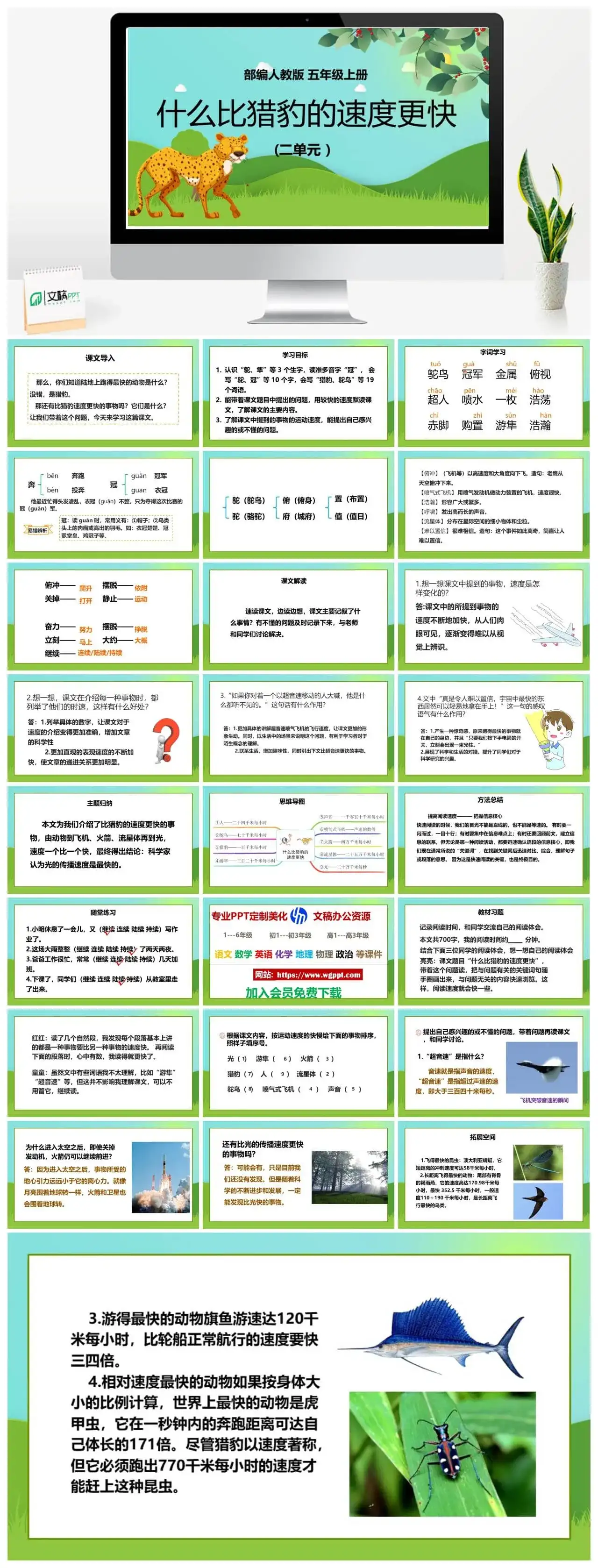 人教部编版语文五年级上册PPT课件什么比猎豹的速度更快