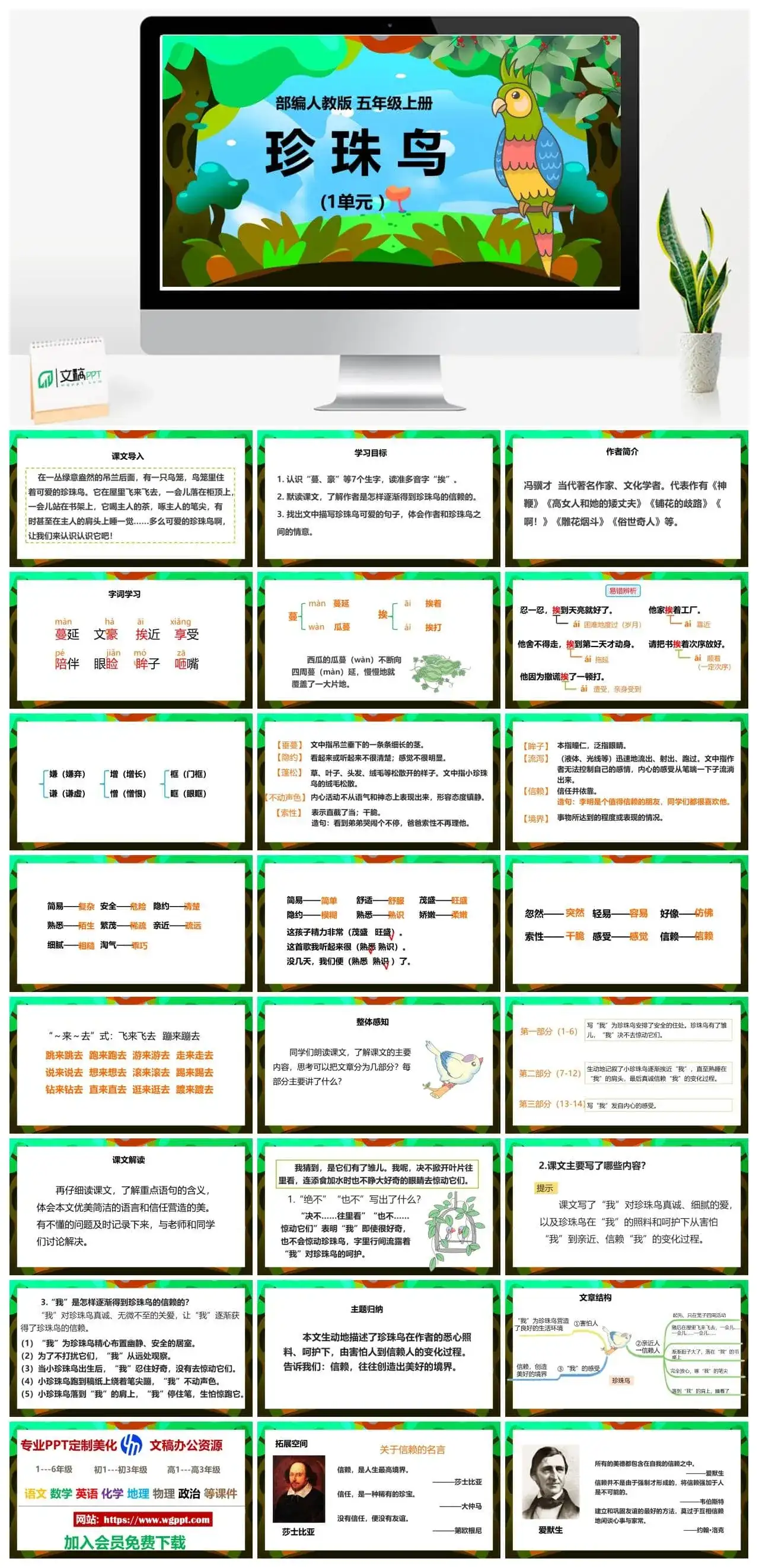 人教部编版语文五年级上册PPT课件珍珠鸟