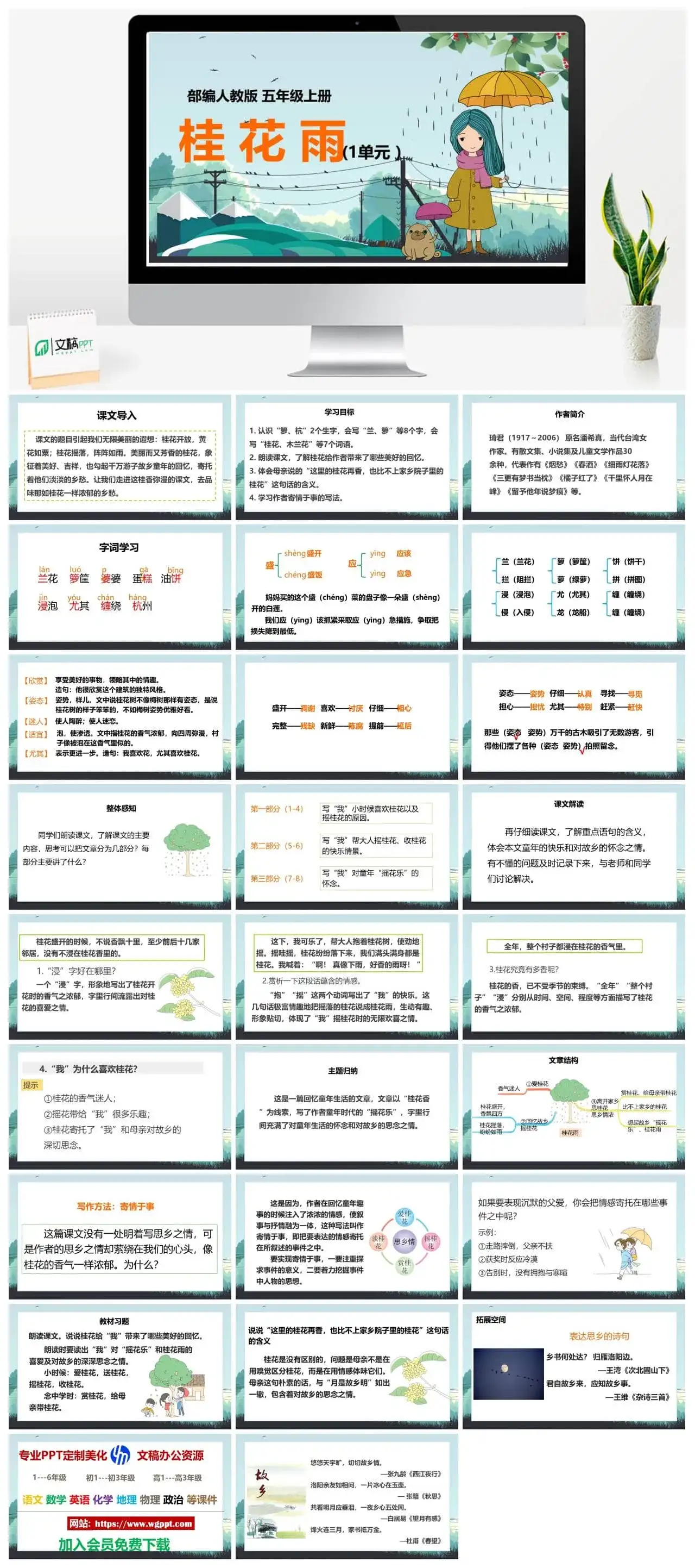 人教部编版语文五年级上册PPT课件桂花雨
