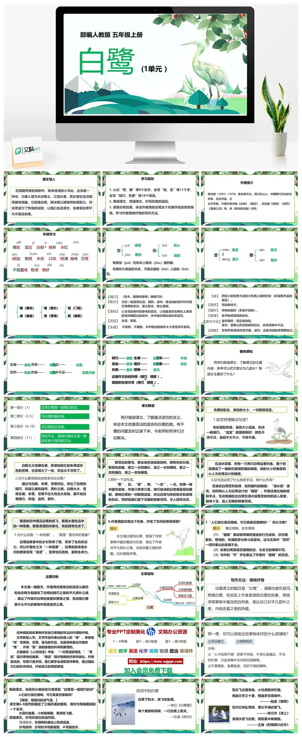 人教部编版语文五年级上册PPT课件白鹭