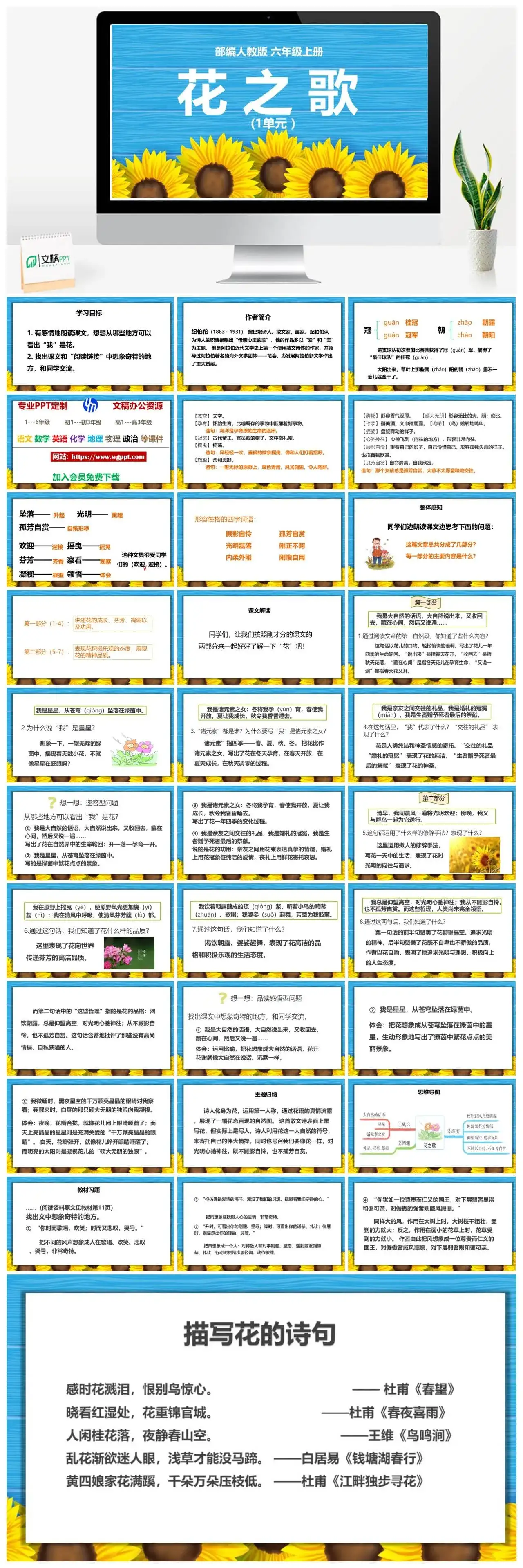 人教部编版语文六年级上册PPT课件花之歌
