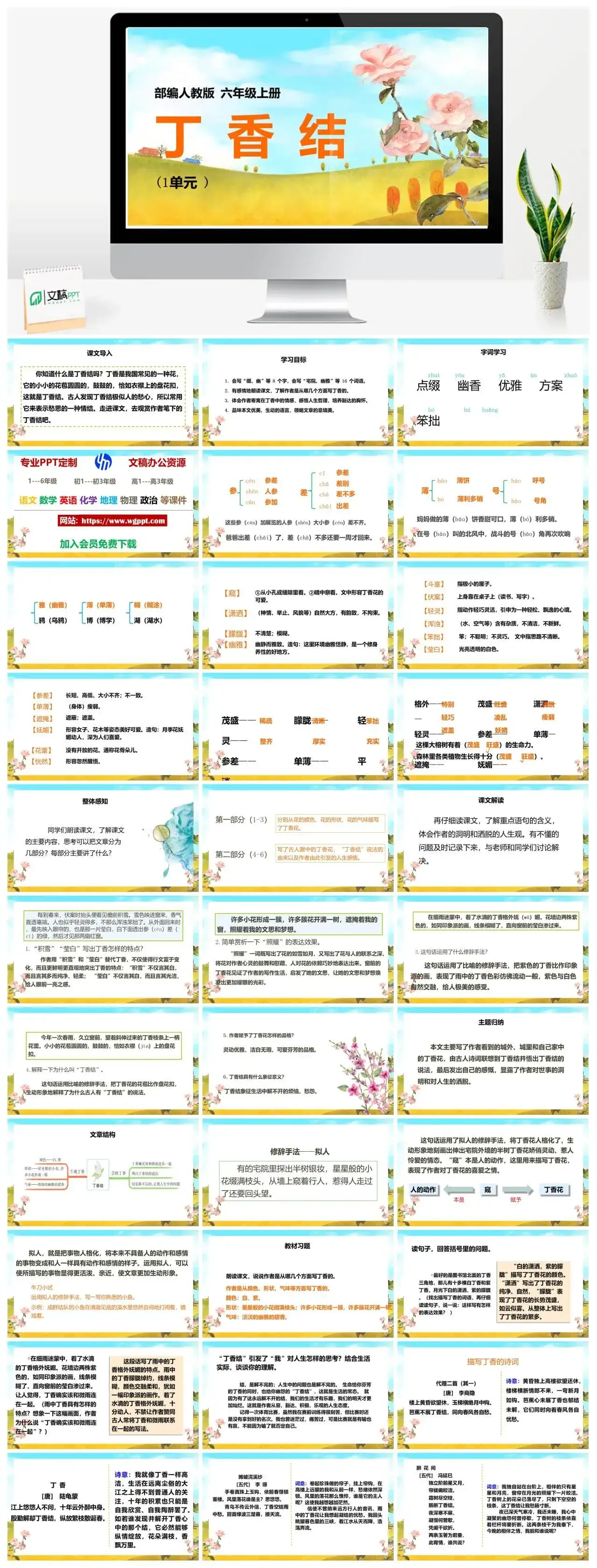 人教部编版语文六年级上册PPT课件丁香结