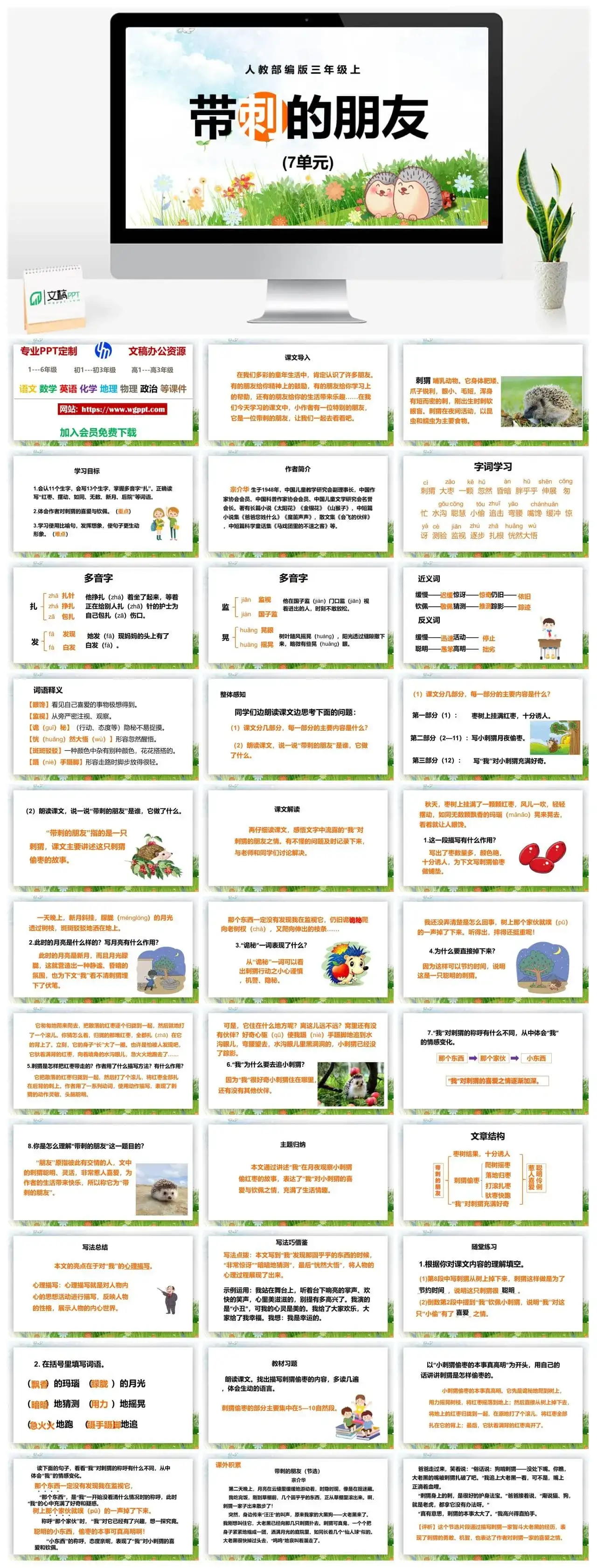 人教部编版语文三年级上册PPT课件带刺的朋友