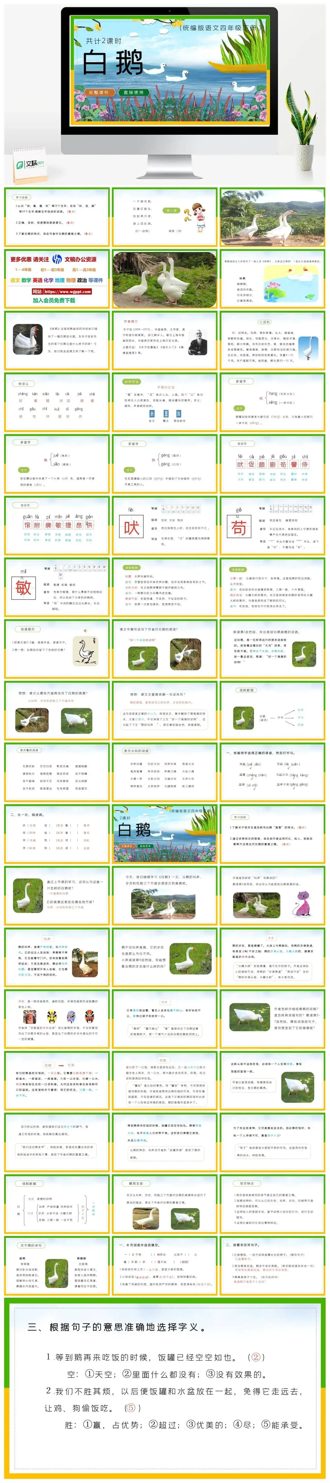 部编版四年级语文下册PPT课件白鹅
