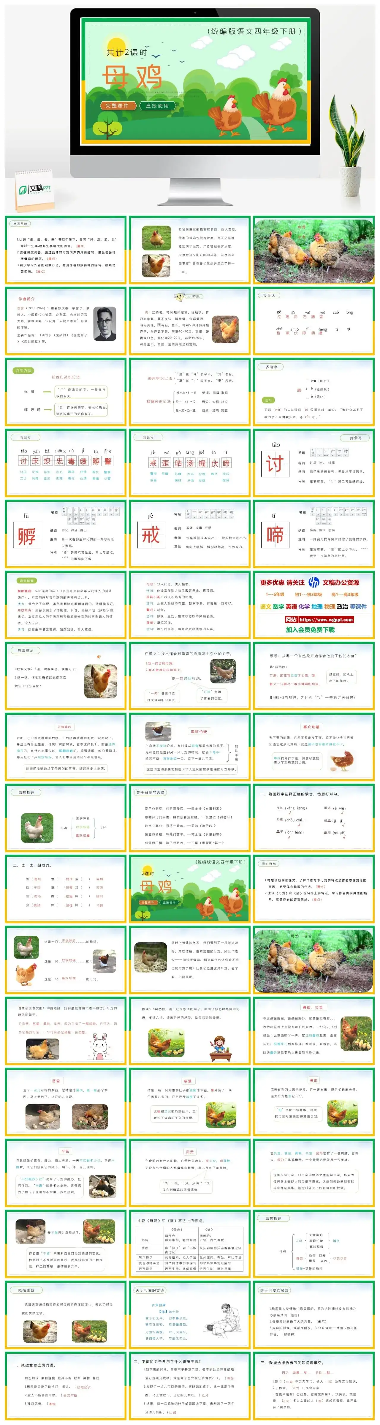 部编版四年级语文下册PPT课件母鸡
