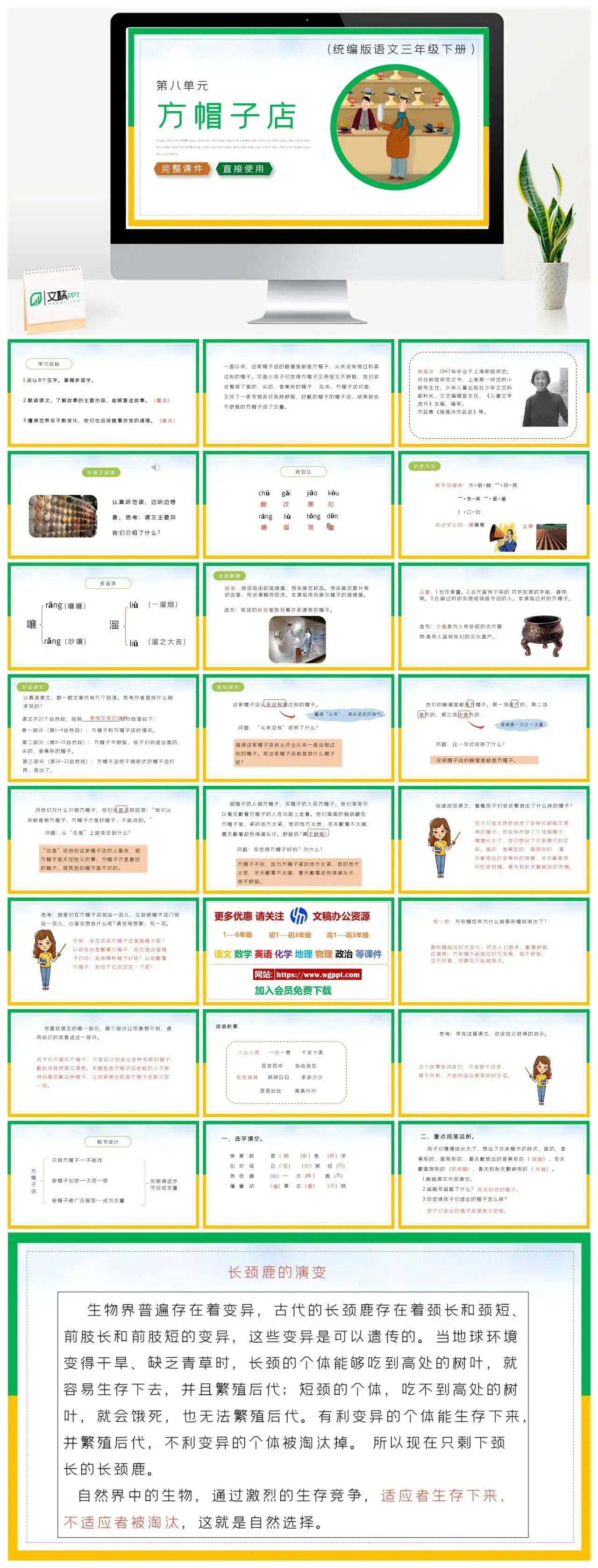 部编版三年级语文下册PPT课件方帽子店