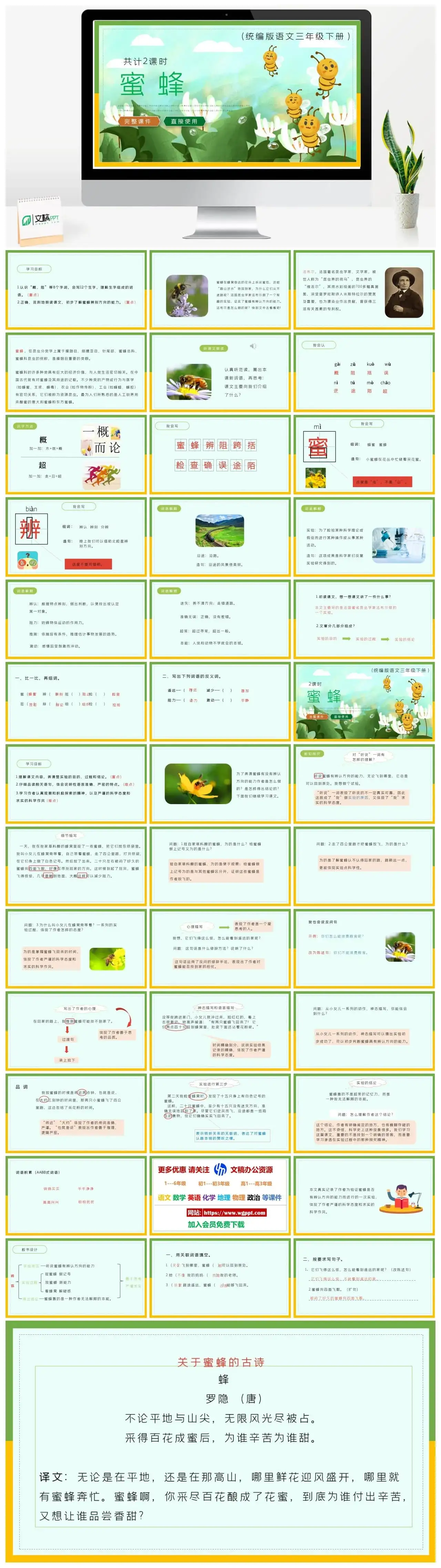 部编版三年级语文下册PPT课件蜜蜂