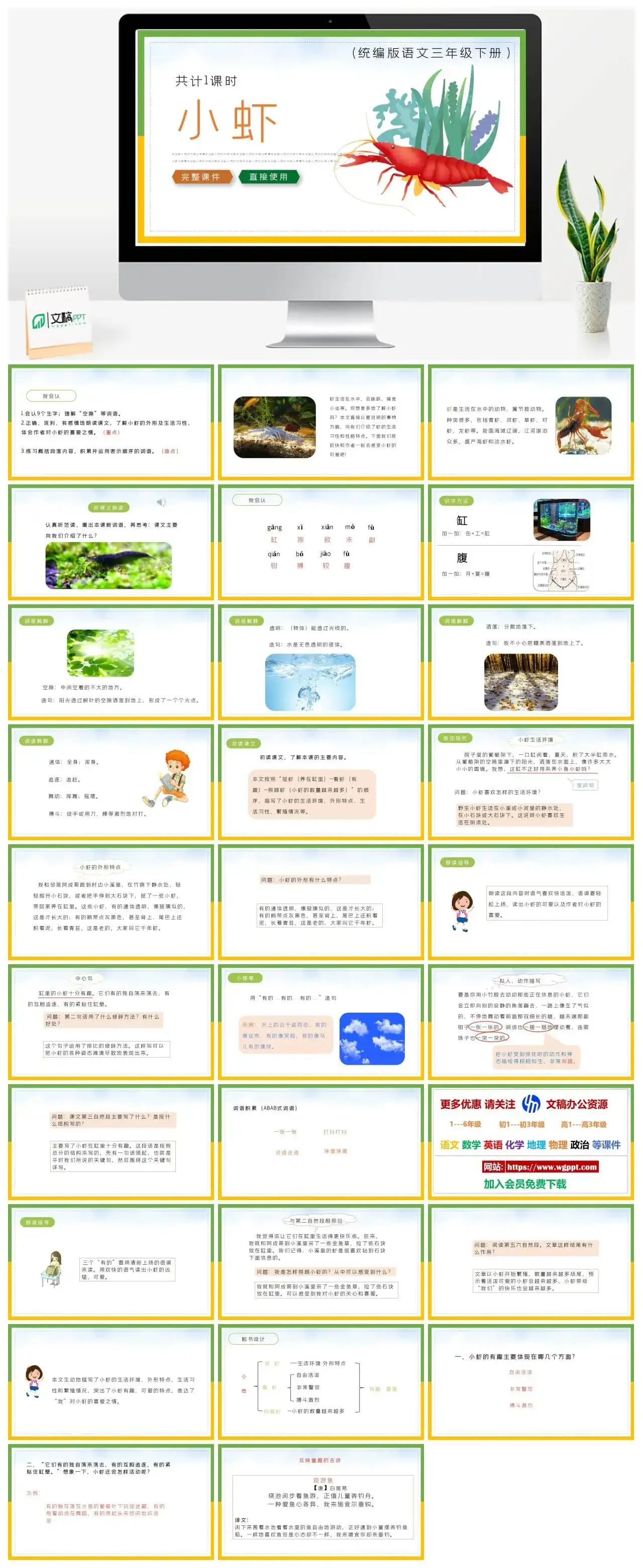部编版三年级语文下册PPT课件小虾