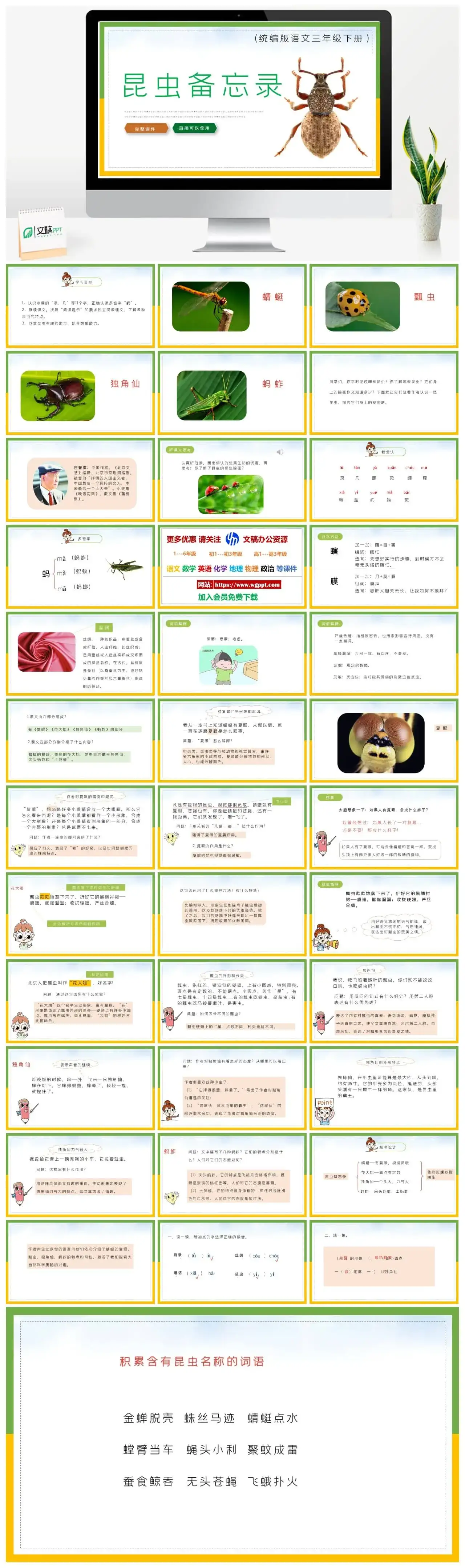 部编版三年级语文下册PPT课件昆虫备忘录