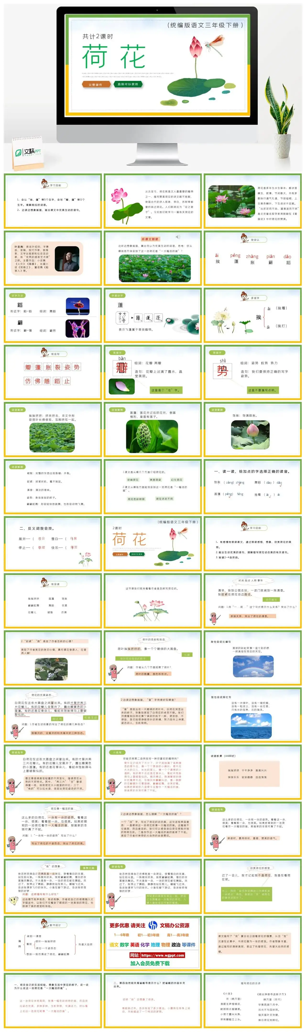 部编版三年级语文下册PPT课件荷花