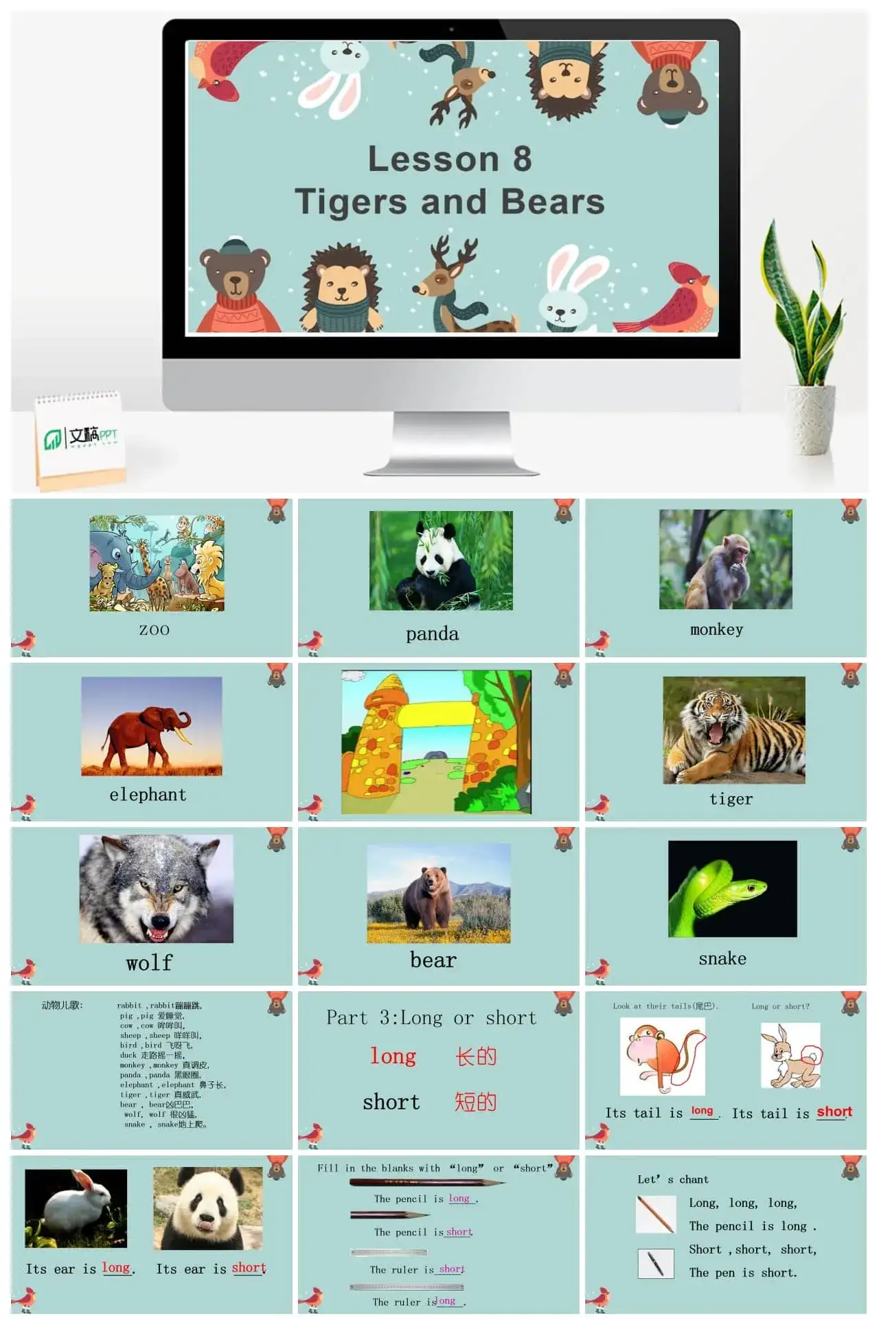 小学英语冀教三年级下册《lesson 8 tigers and bears1》PPT课件