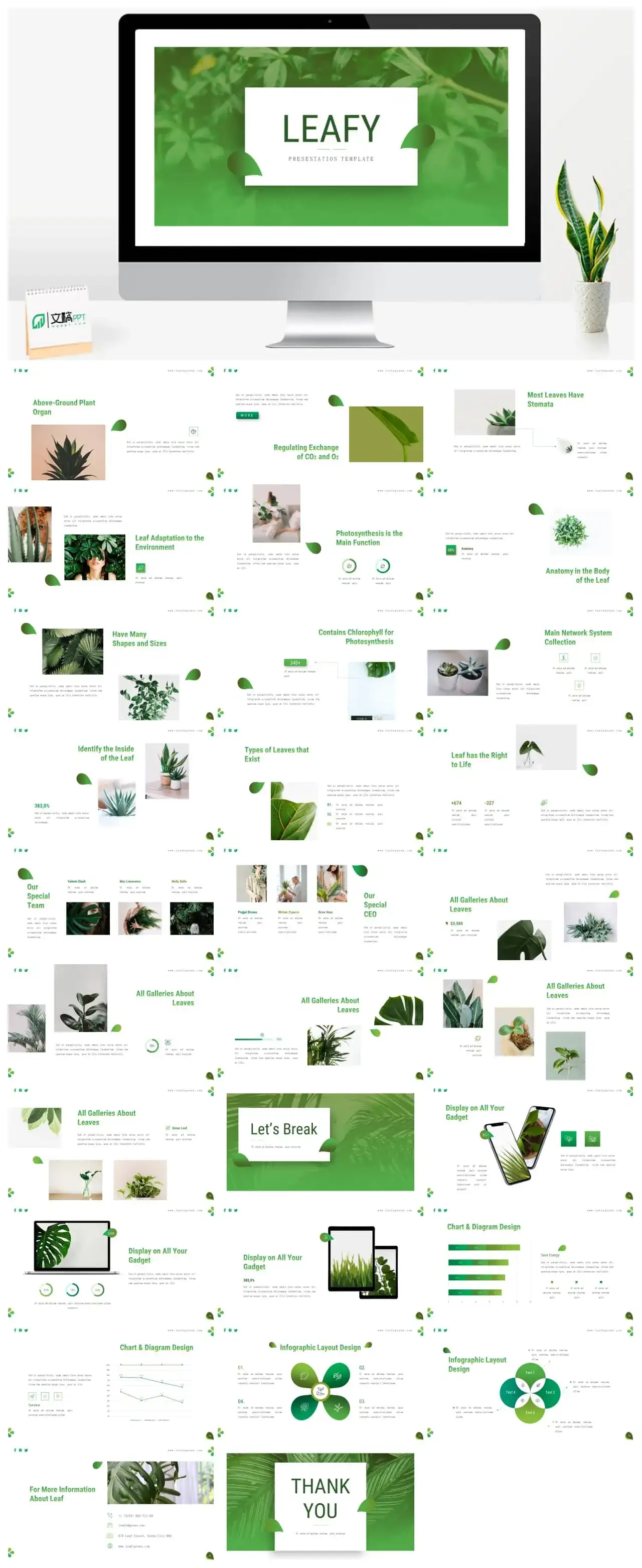 绿色叶子清新风ppt模板