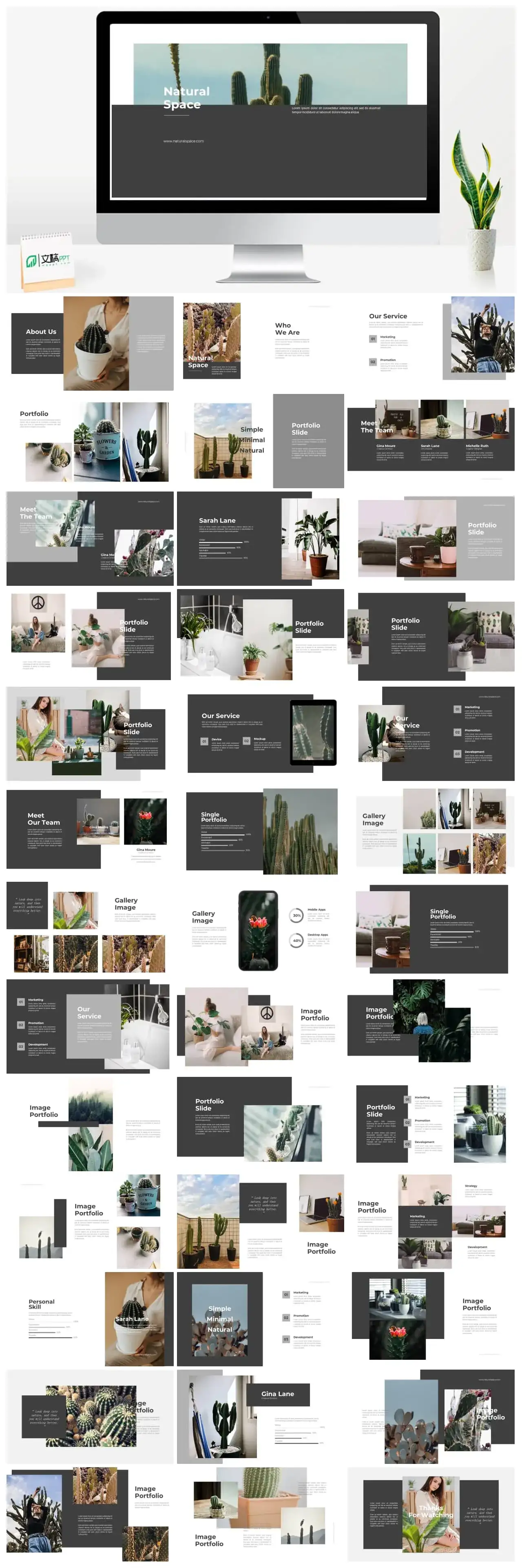 黑白植物商务PPT模版