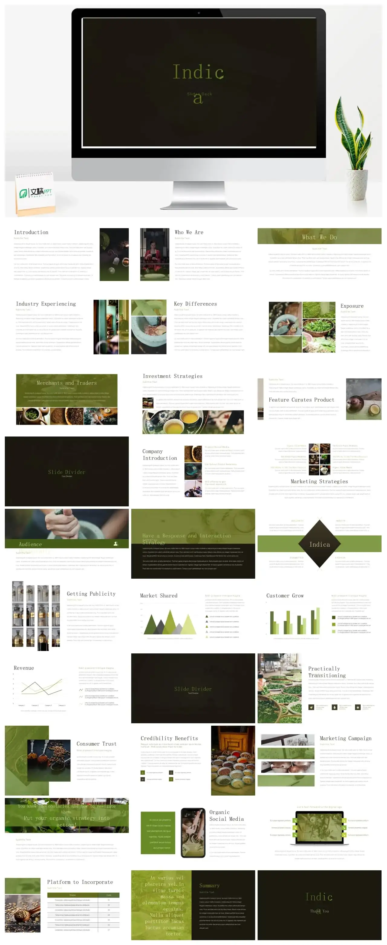 绿色草药工作汇报PPT模板