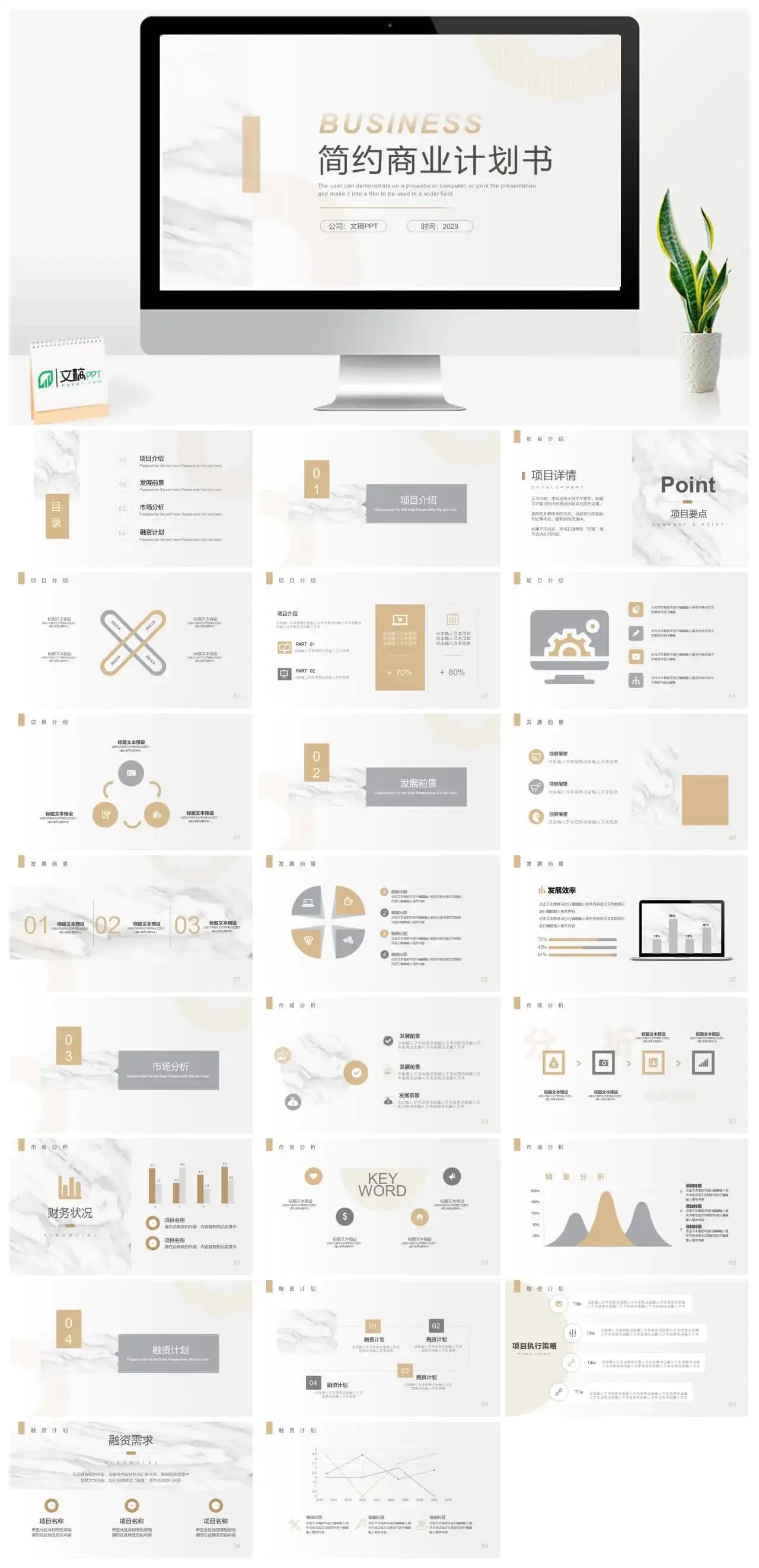 简约淡雅白金色商业计划书PPT模板