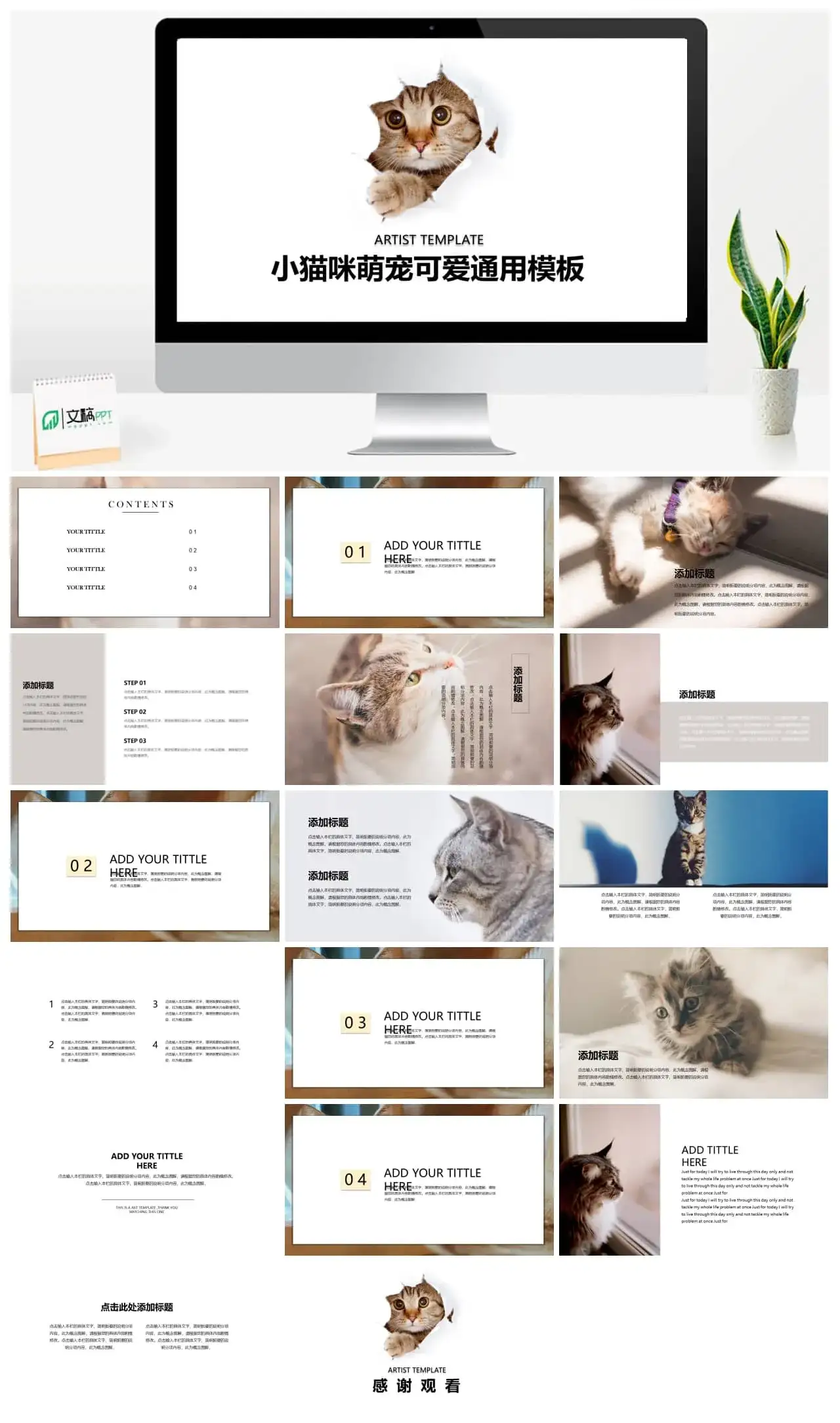 小猫咪萌宠可爱通用PPT模板