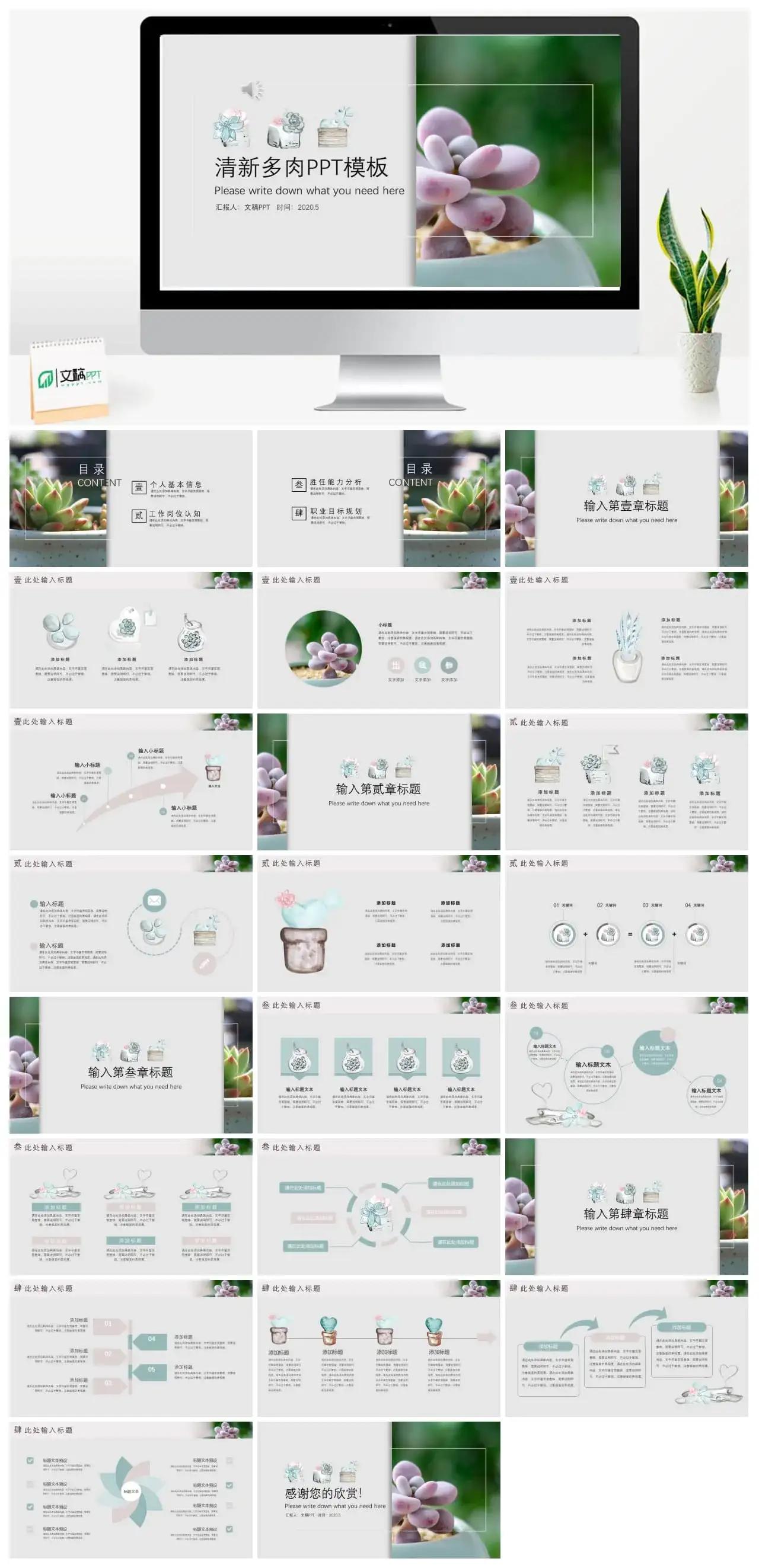 清新多肉PPT模板