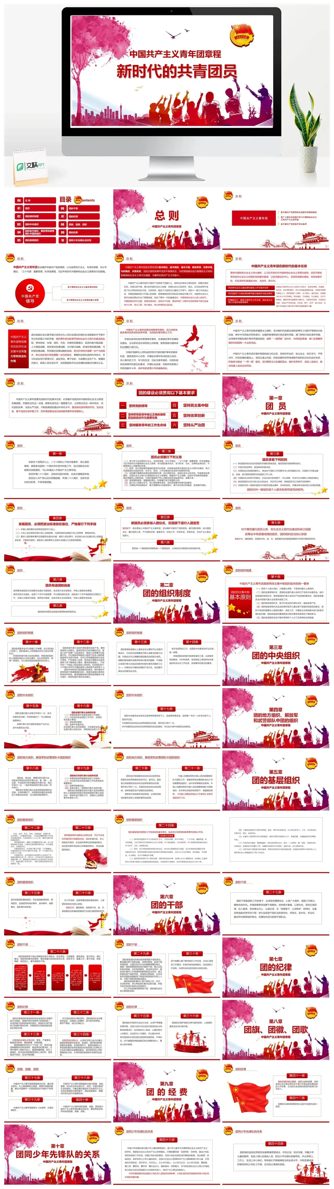 共青团新时代的共青团员ppt