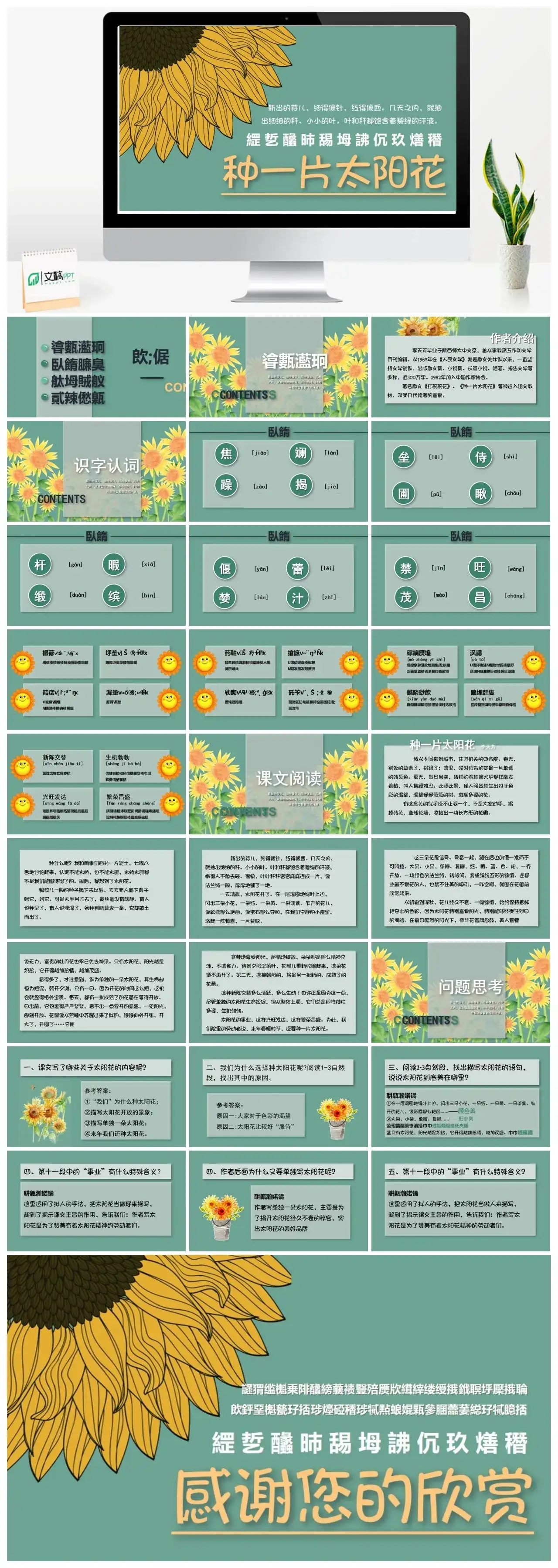 北师大版四年级种一片太阳花PPT课件