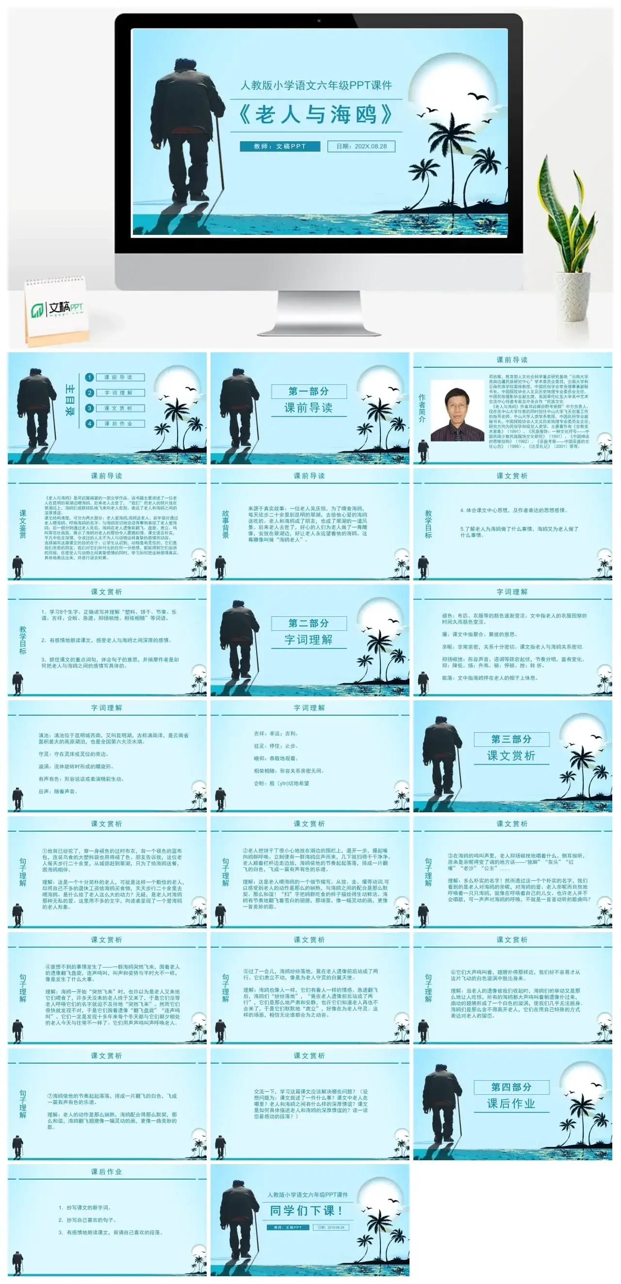 人教版六年级老人与海鸥PPT课件