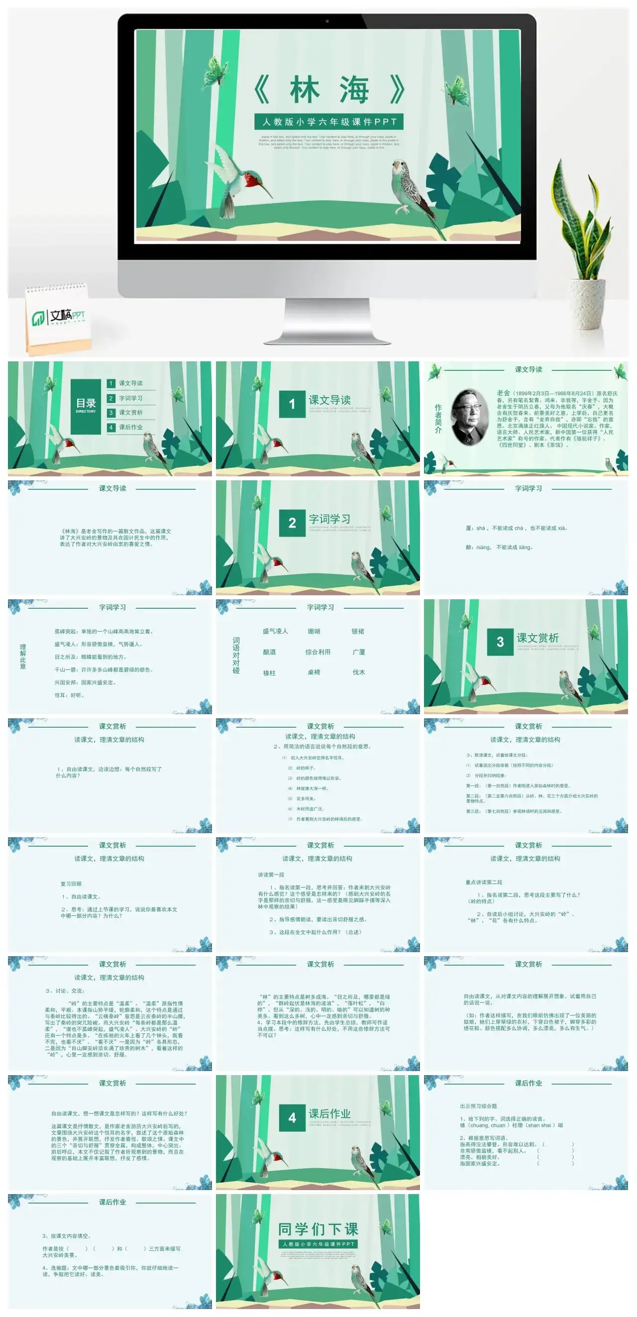 人教版六年级林海2PPT课件