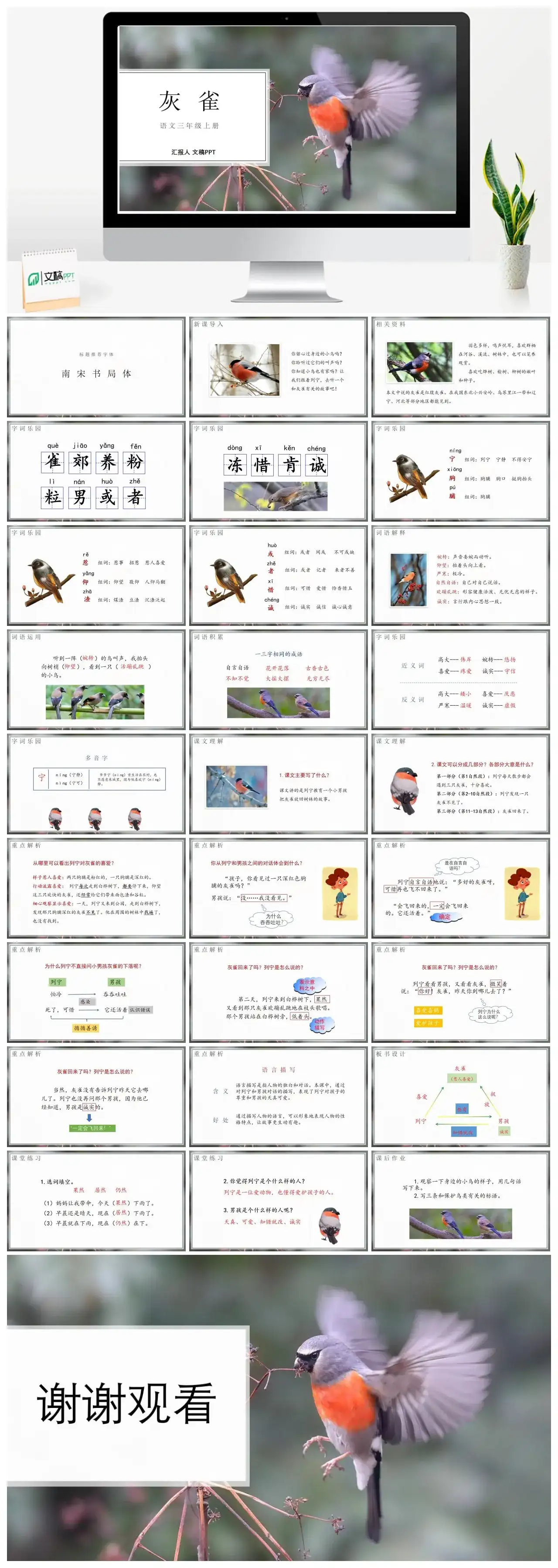 人教版三年级灰雀PPT课件