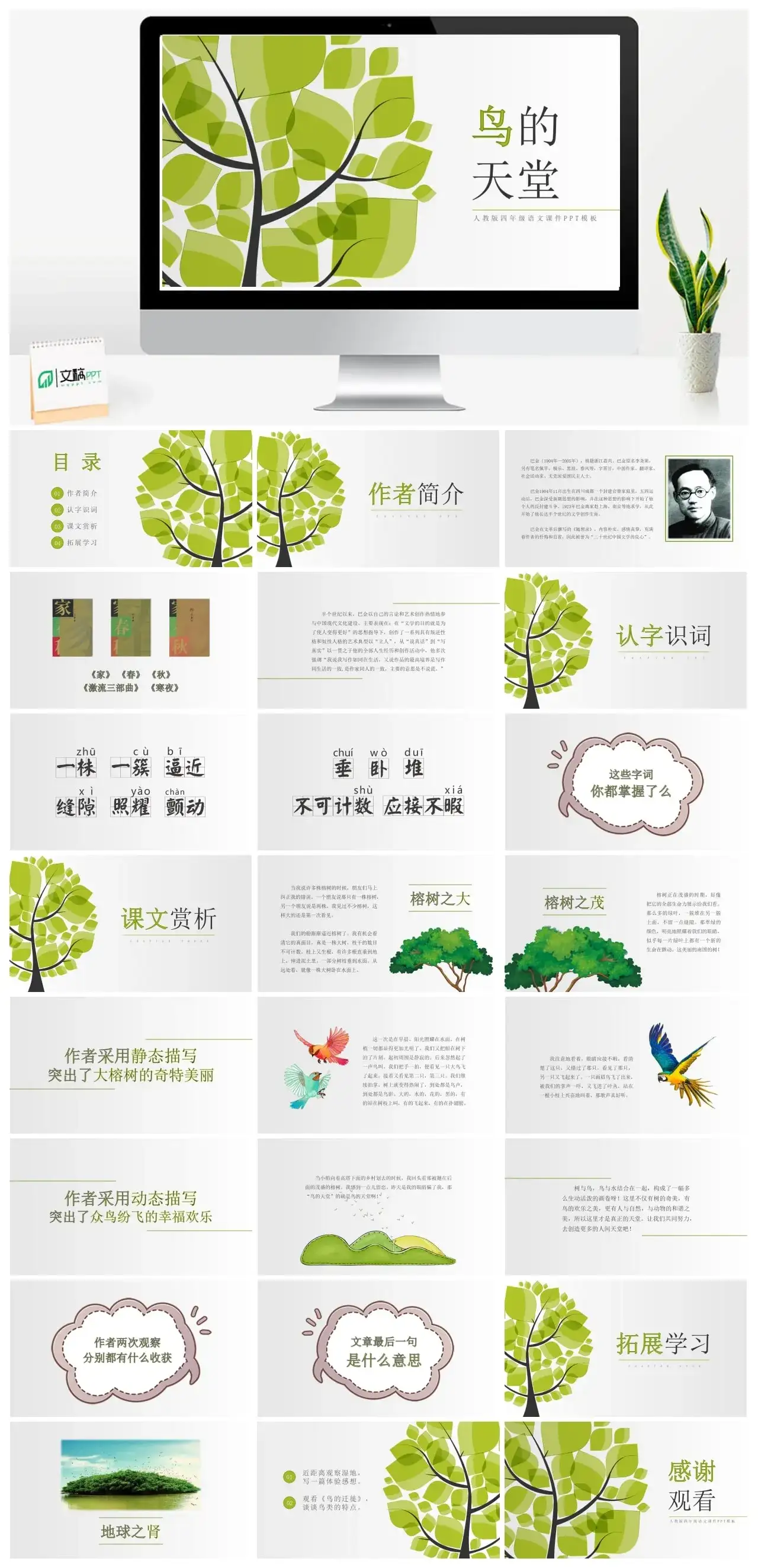 人教版四年级鸟的天堂2PPT课件