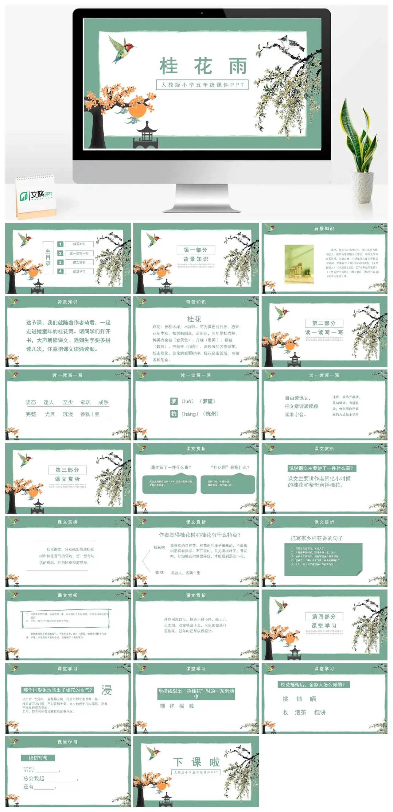 人教版五年级桂花雨2PPT课件