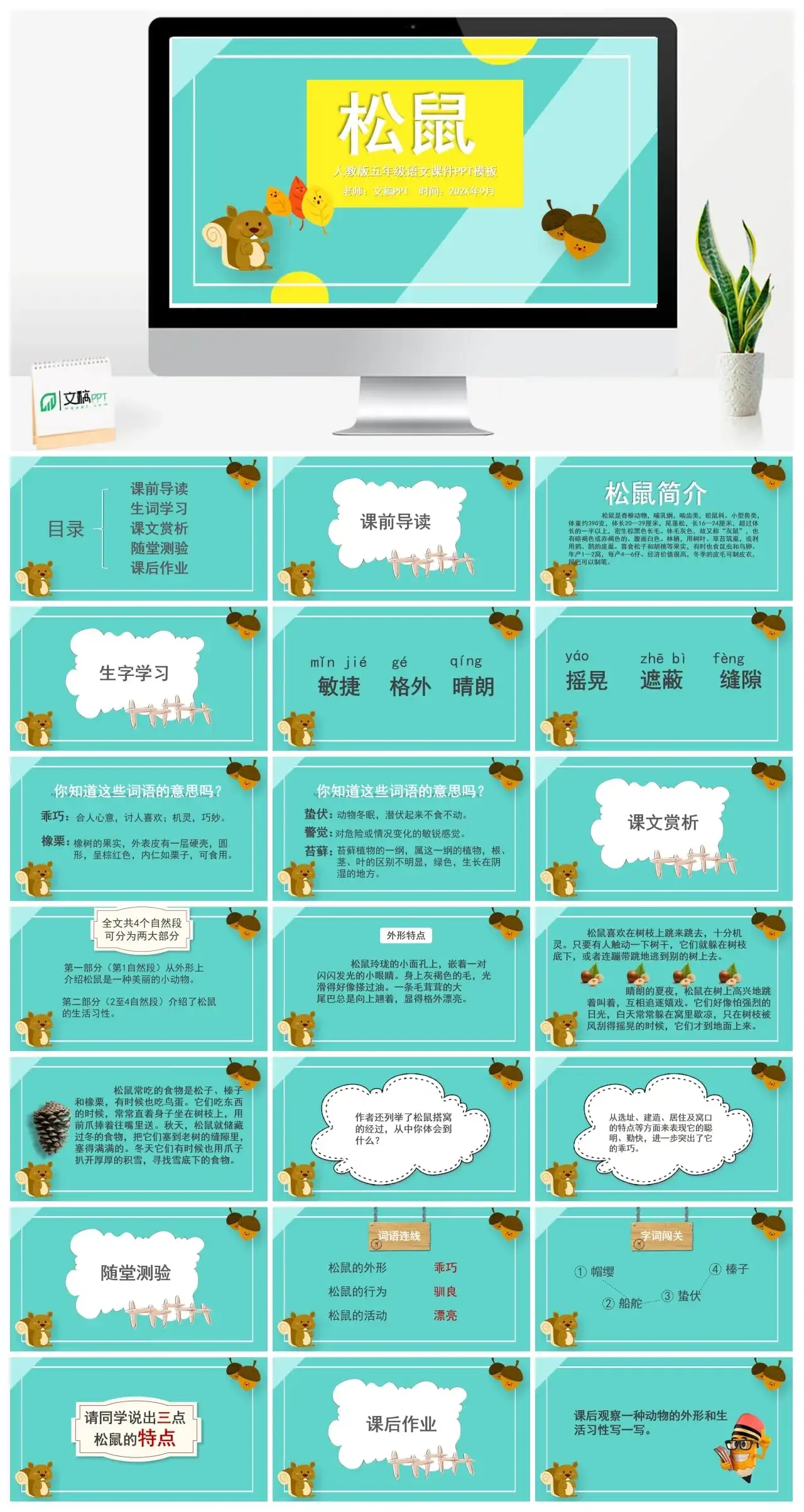 人教版五年级松鼠1PPT课件