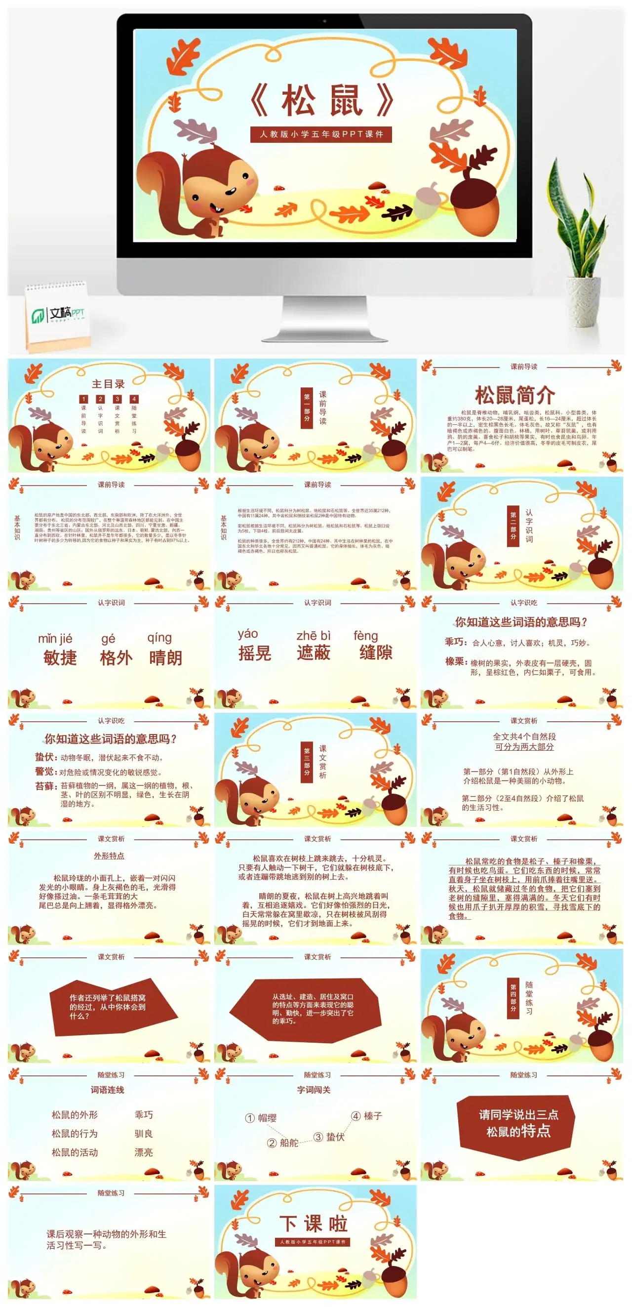人教版五年级松鼠2PPT课件
