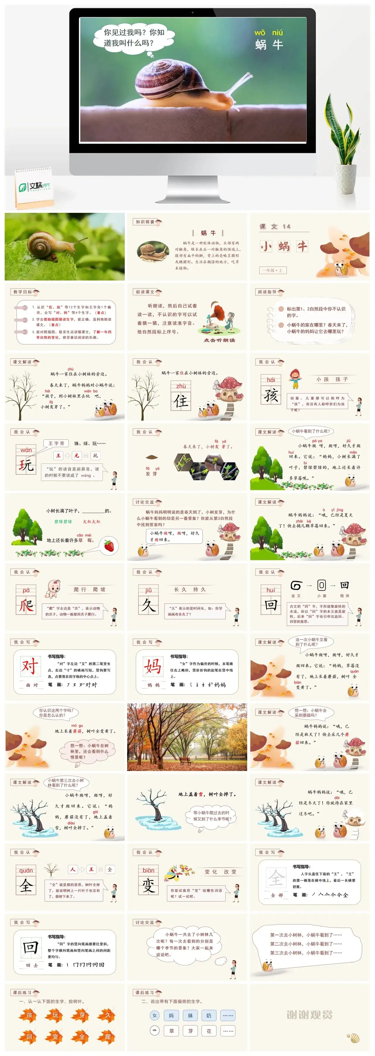 一年级课件PPT课件三第八单元14小蜗牛【精】（教学课件1）课文14小蜗牛