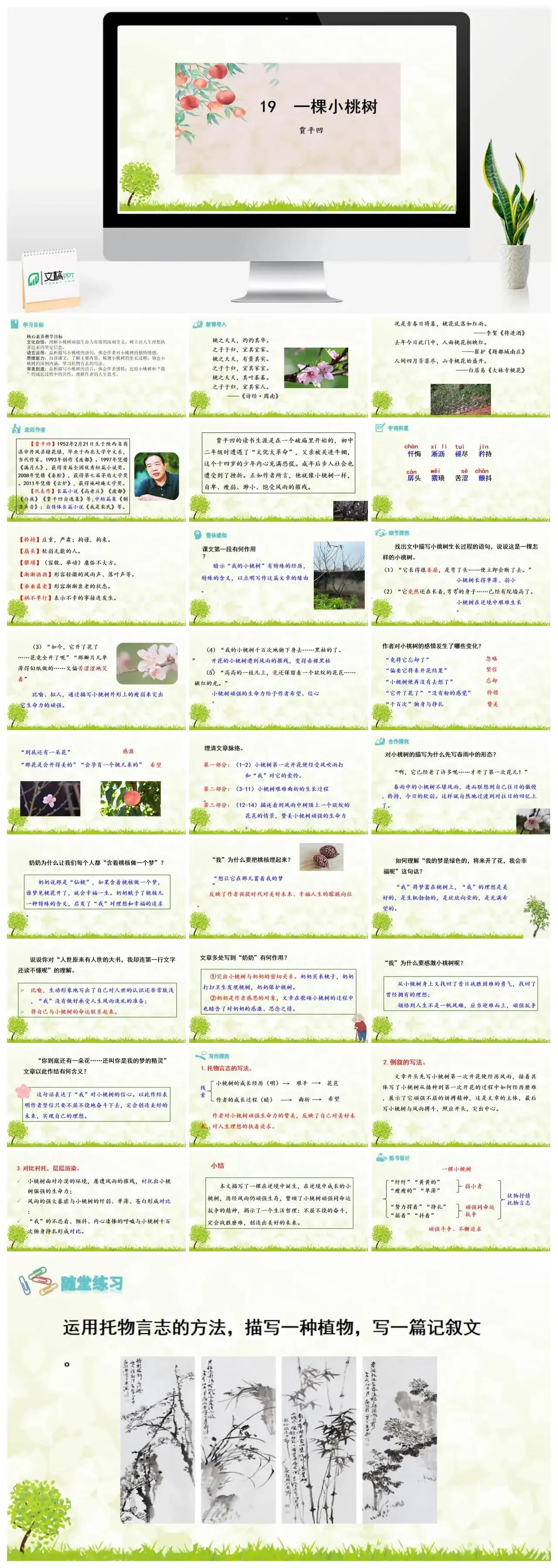 19《 一棵小桃树》七年级下册课件一