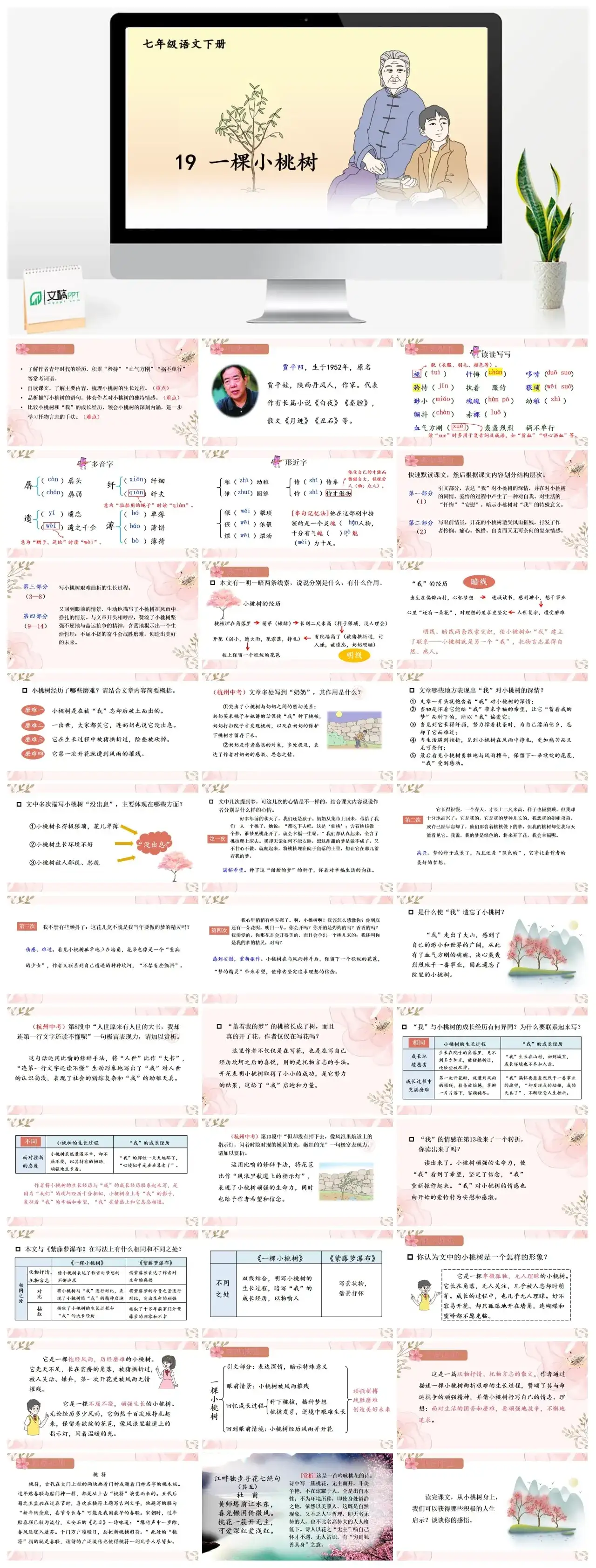 七年级语文下册课件二第五单元19一棵小桃树